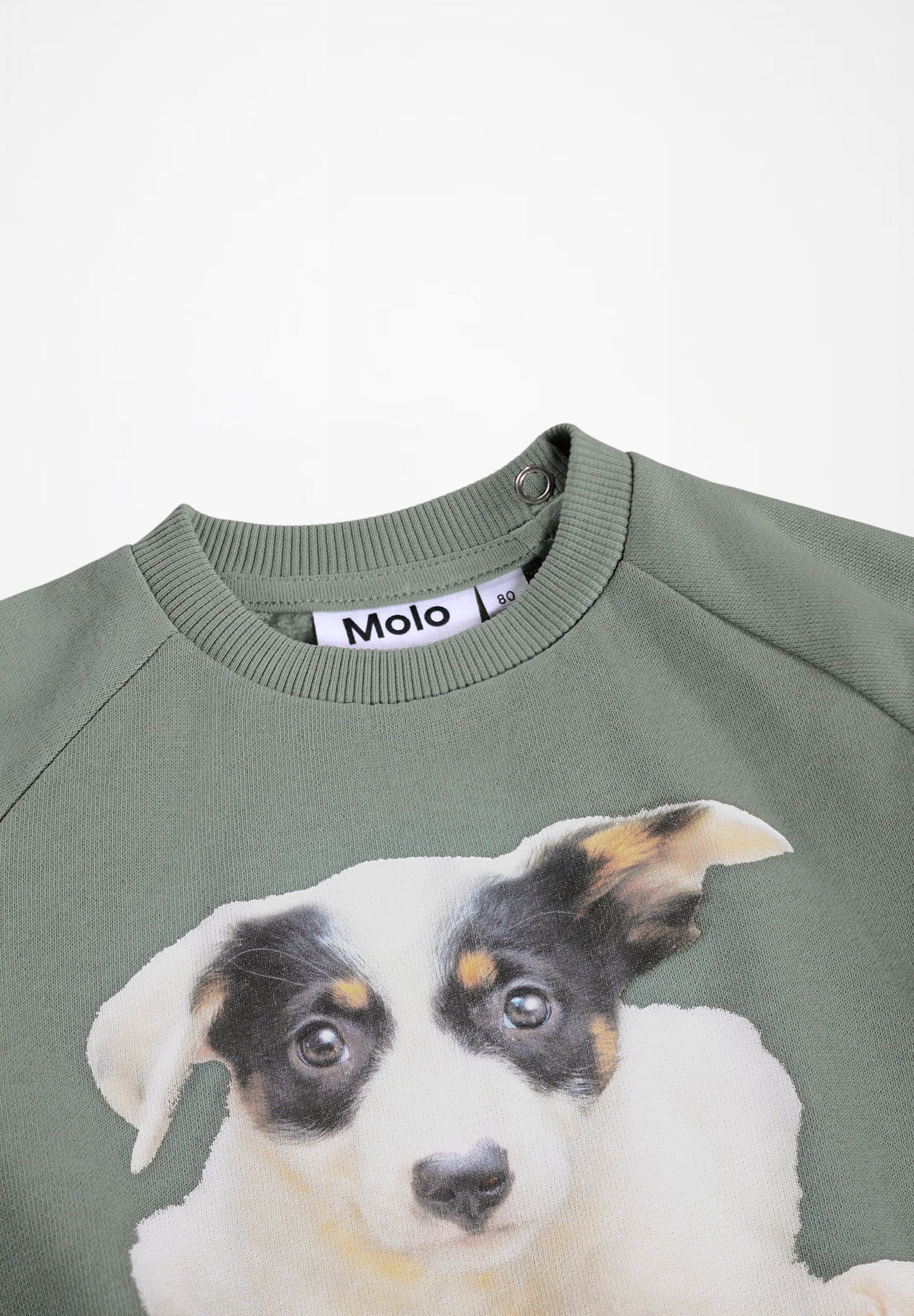 Disc Doggy Muzzle