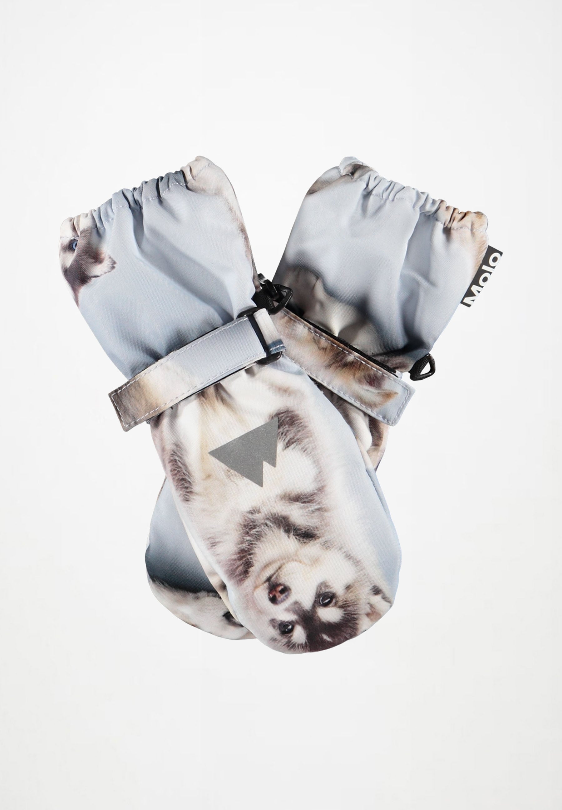 Igor Husky Cubs