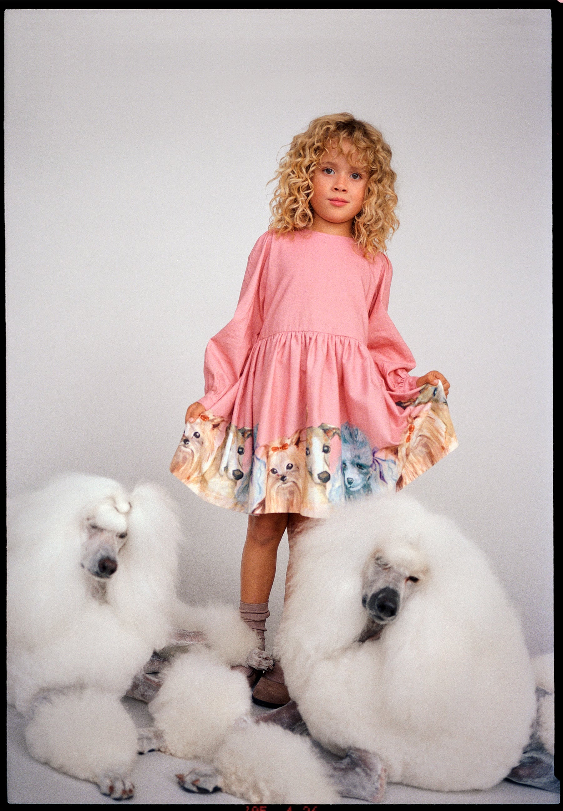 Cleo Charming Dogs