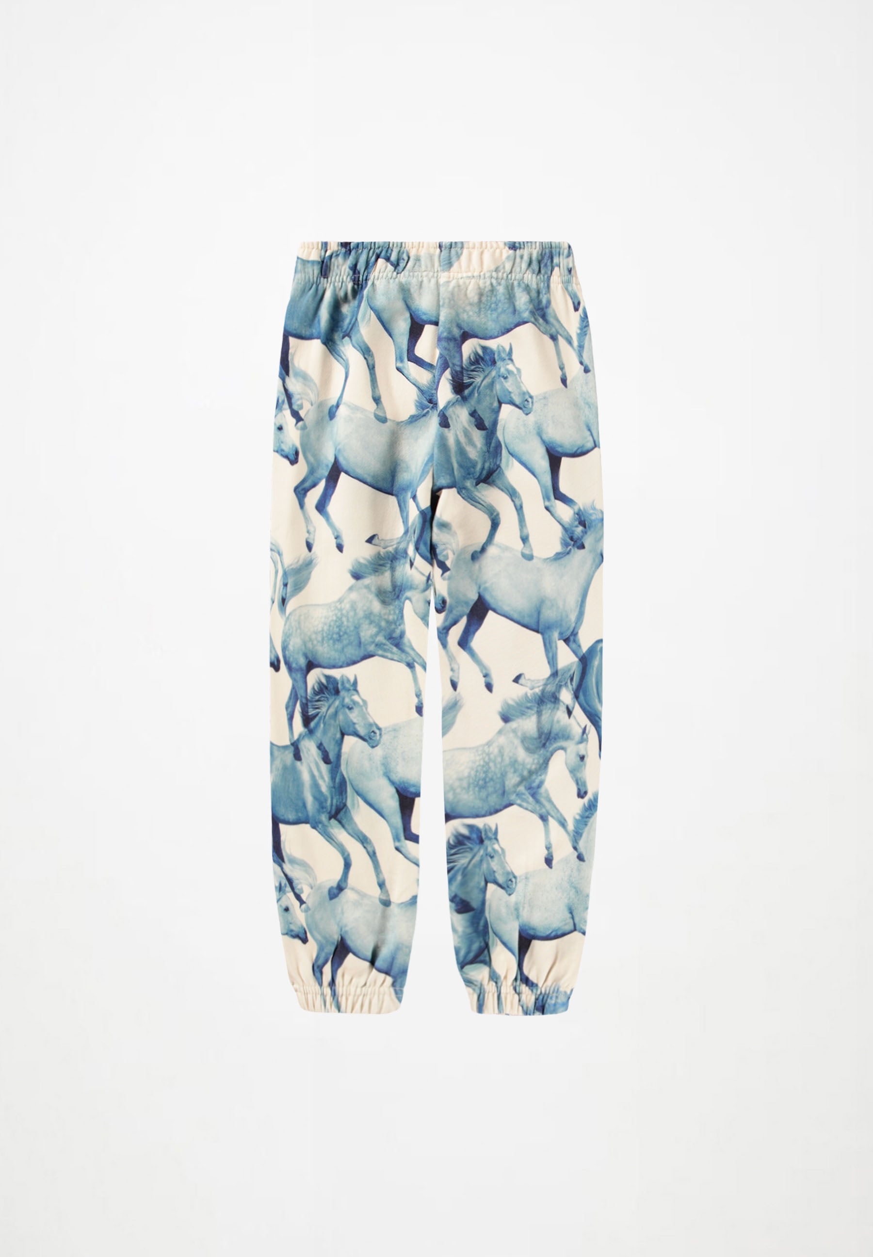 Adan Blau Ponies