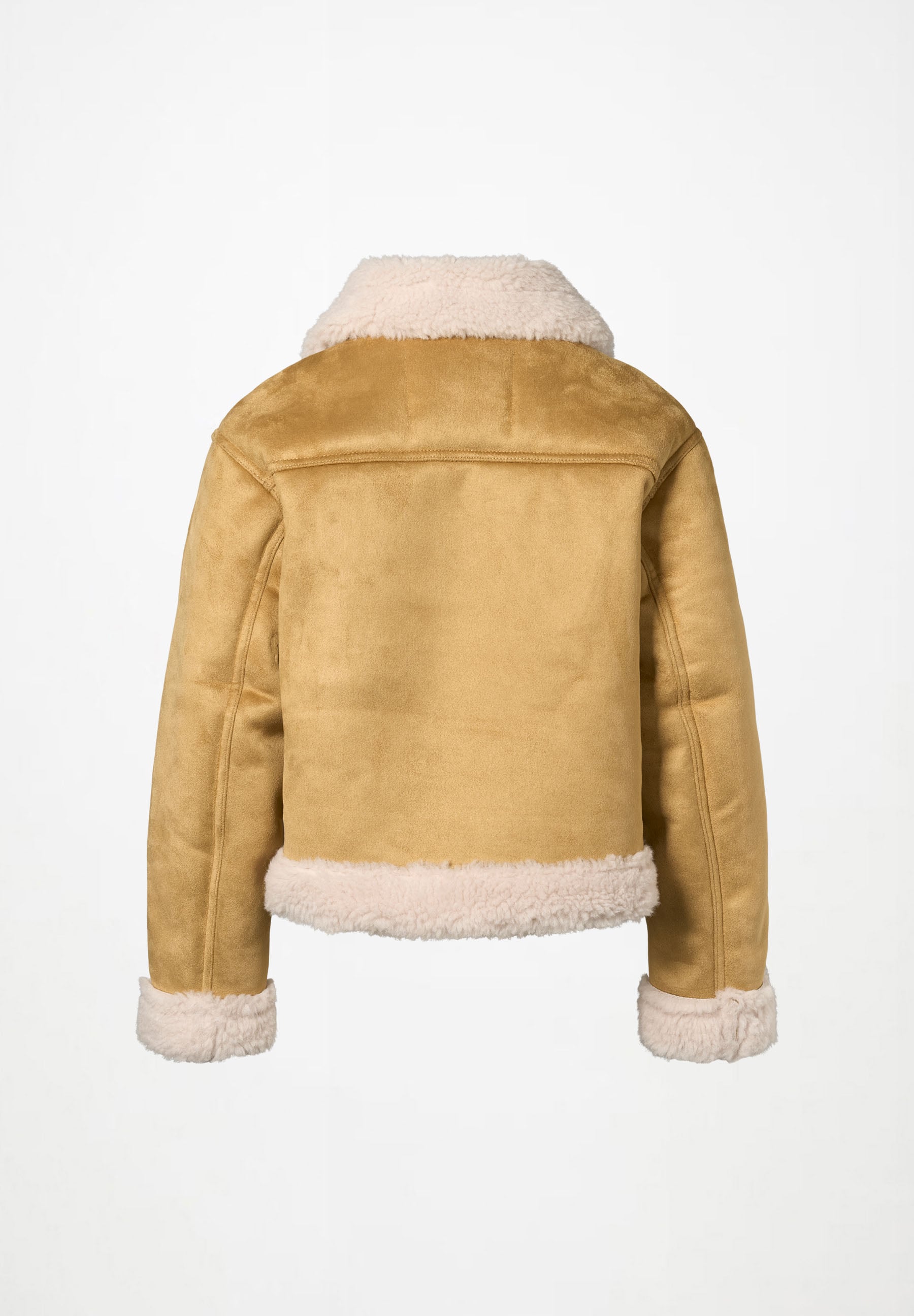 Haywood Camel