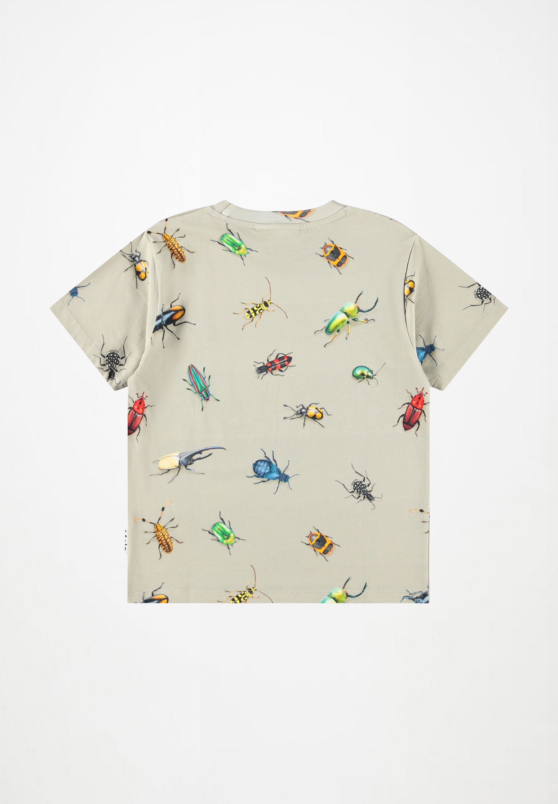 Riley Beetles