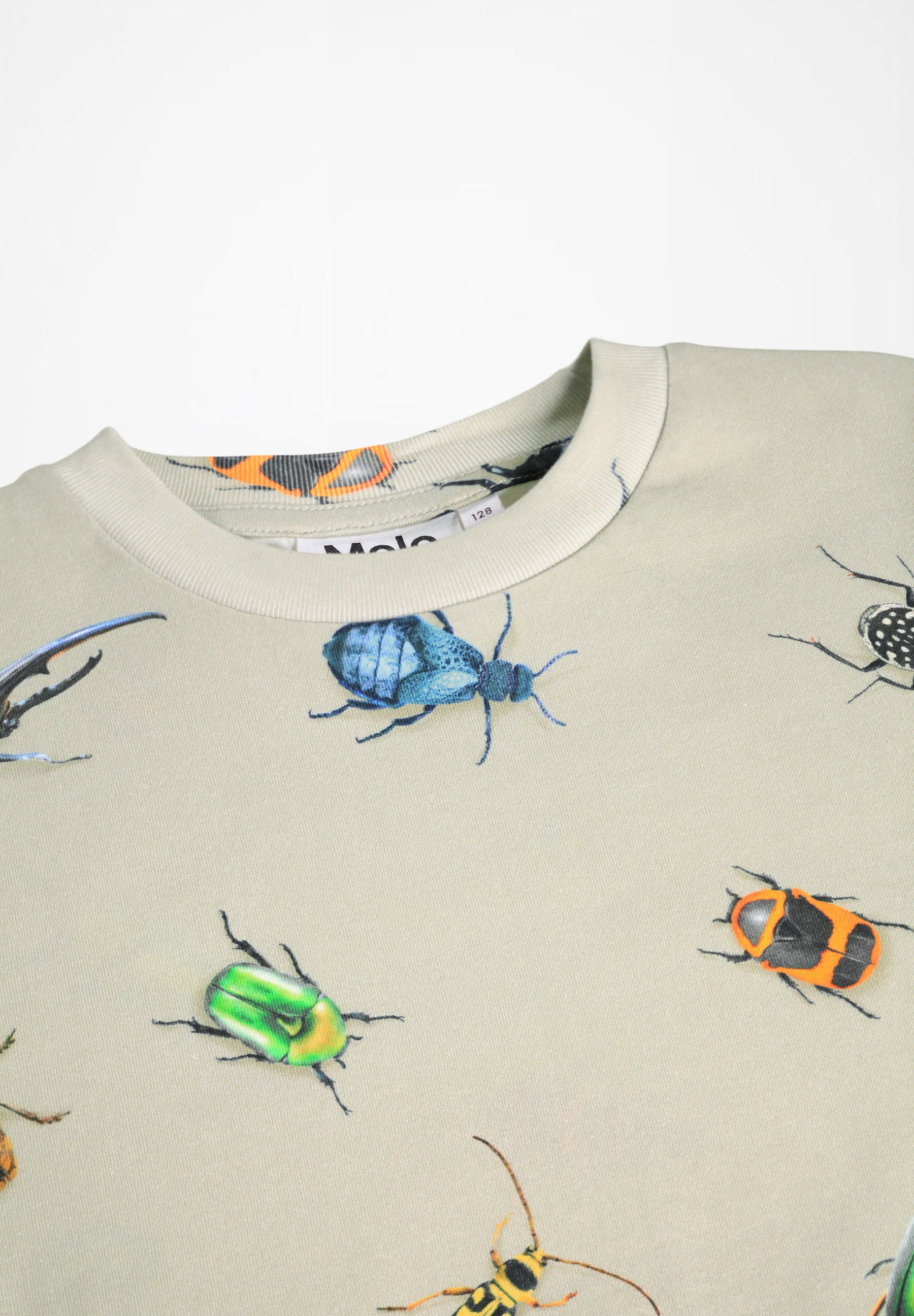 Riley Beetles