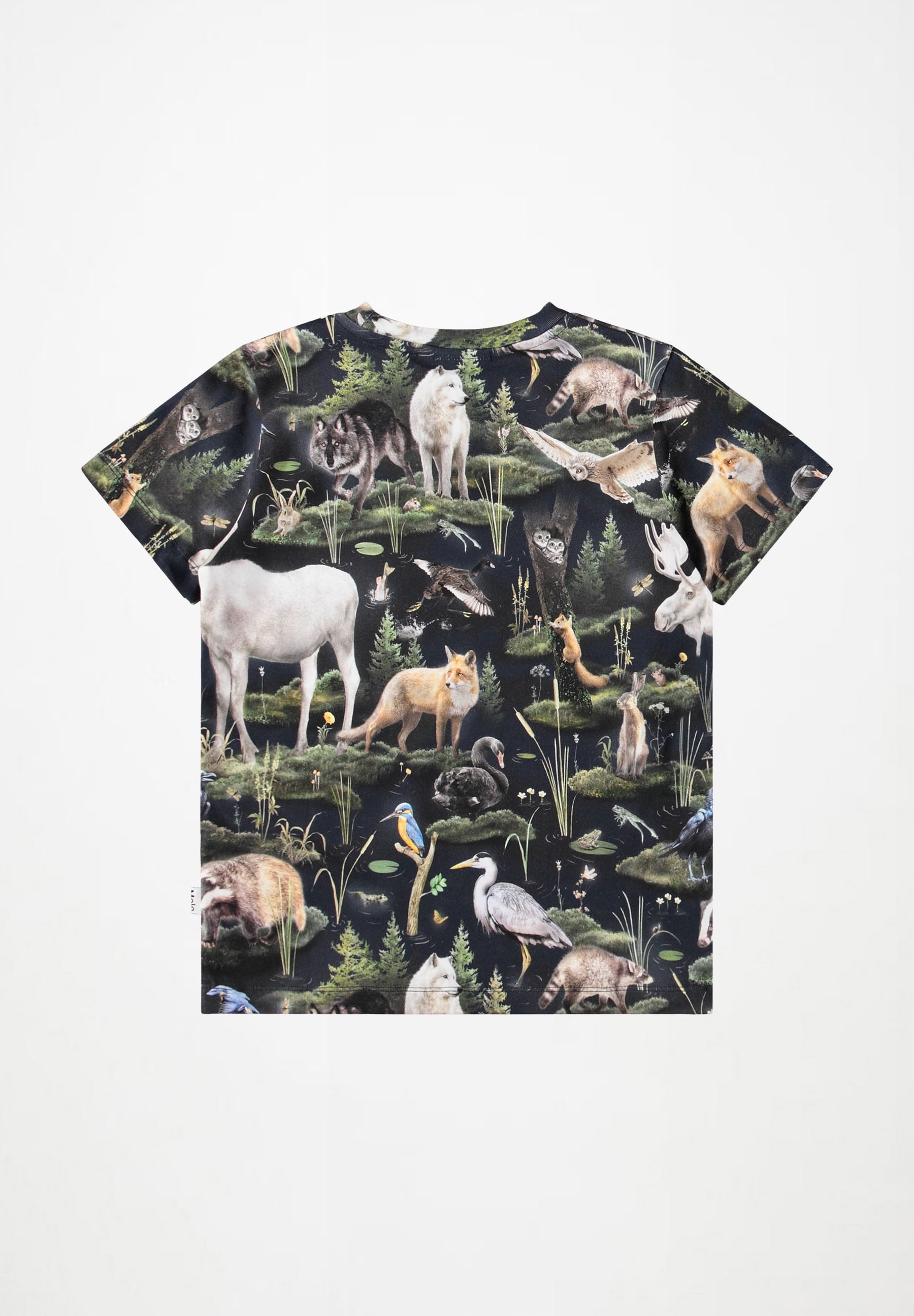 Ralphie Forest Fauna
