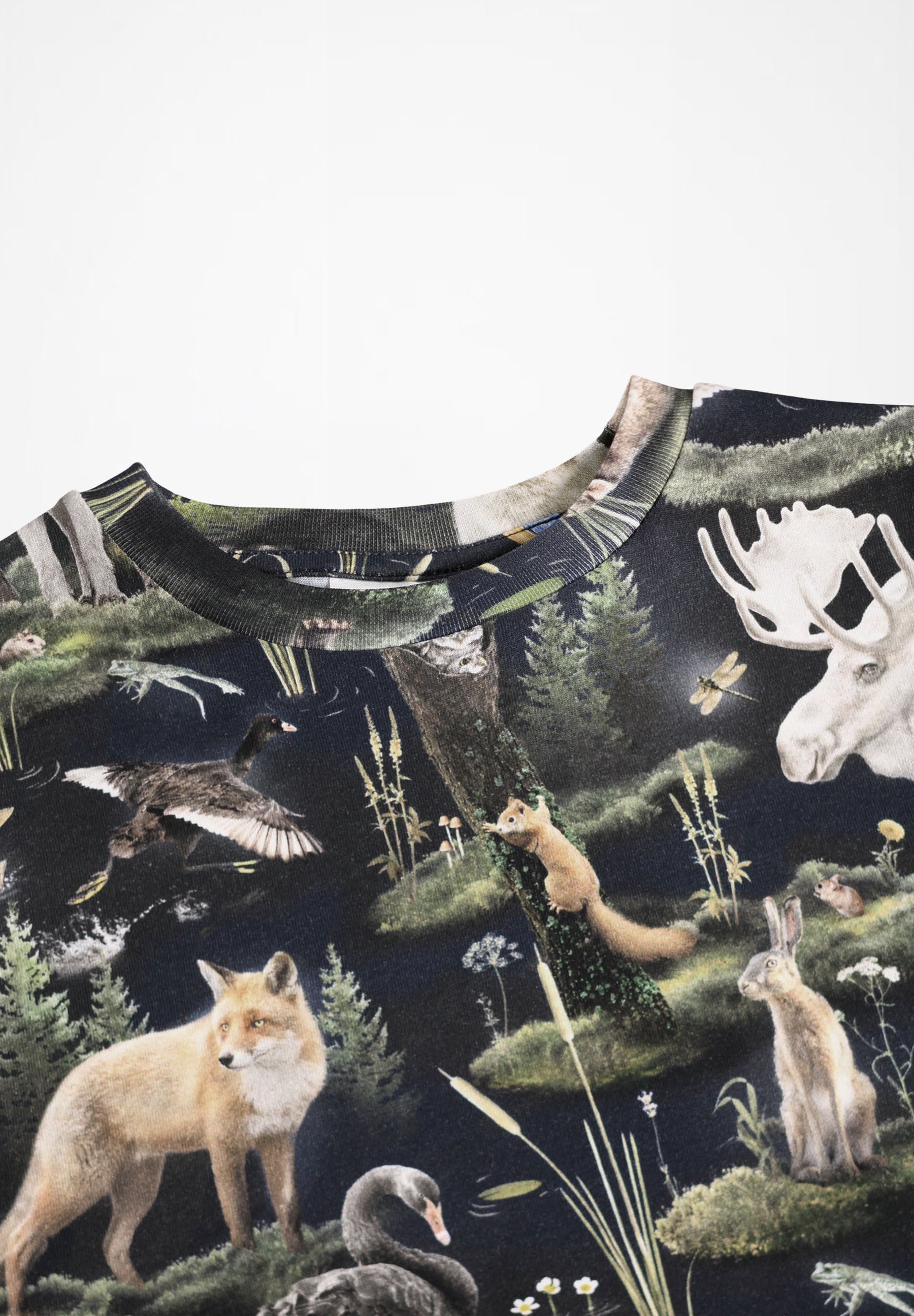 Ralphie Forest Fauna