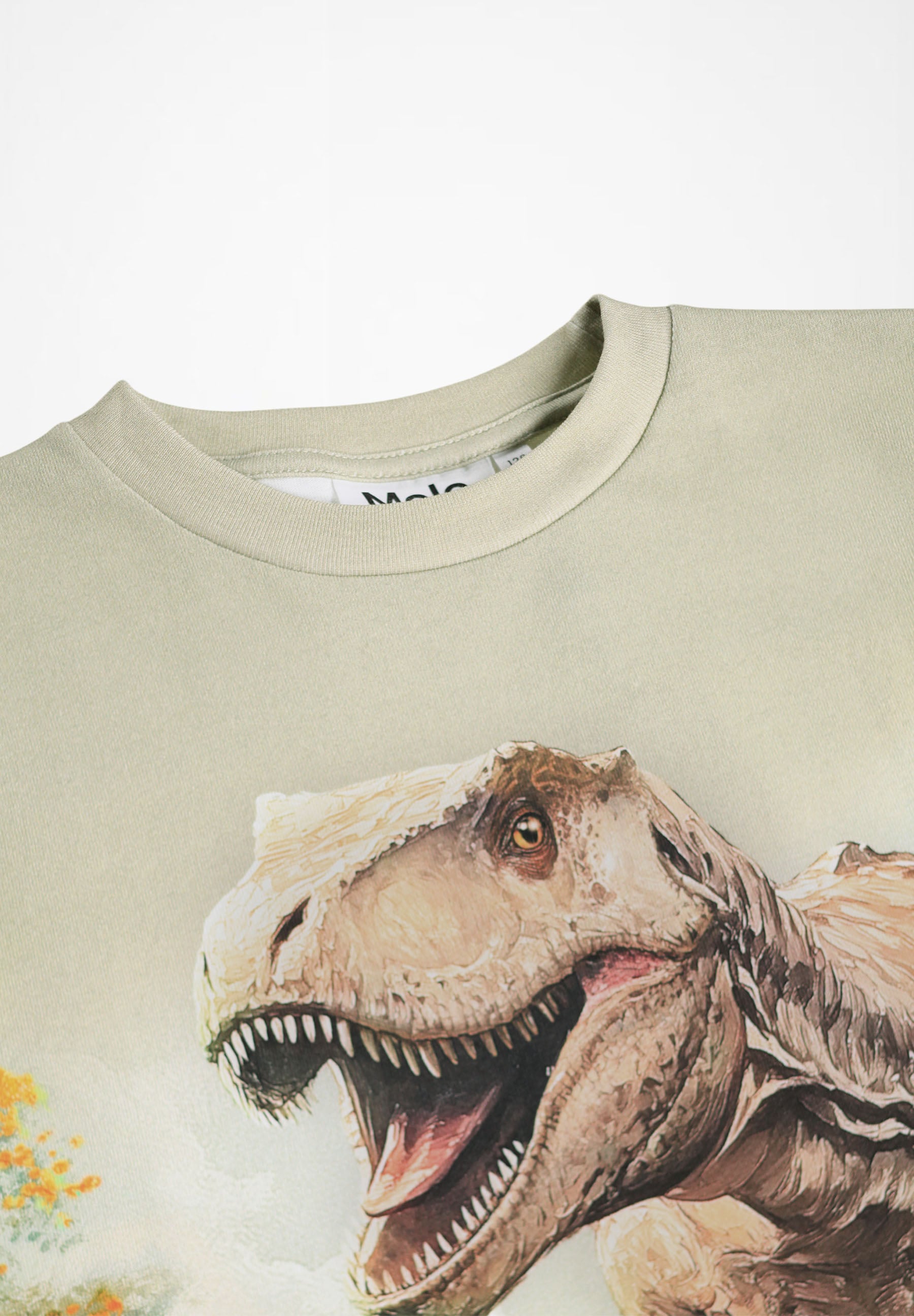 Riley Leafy Rex