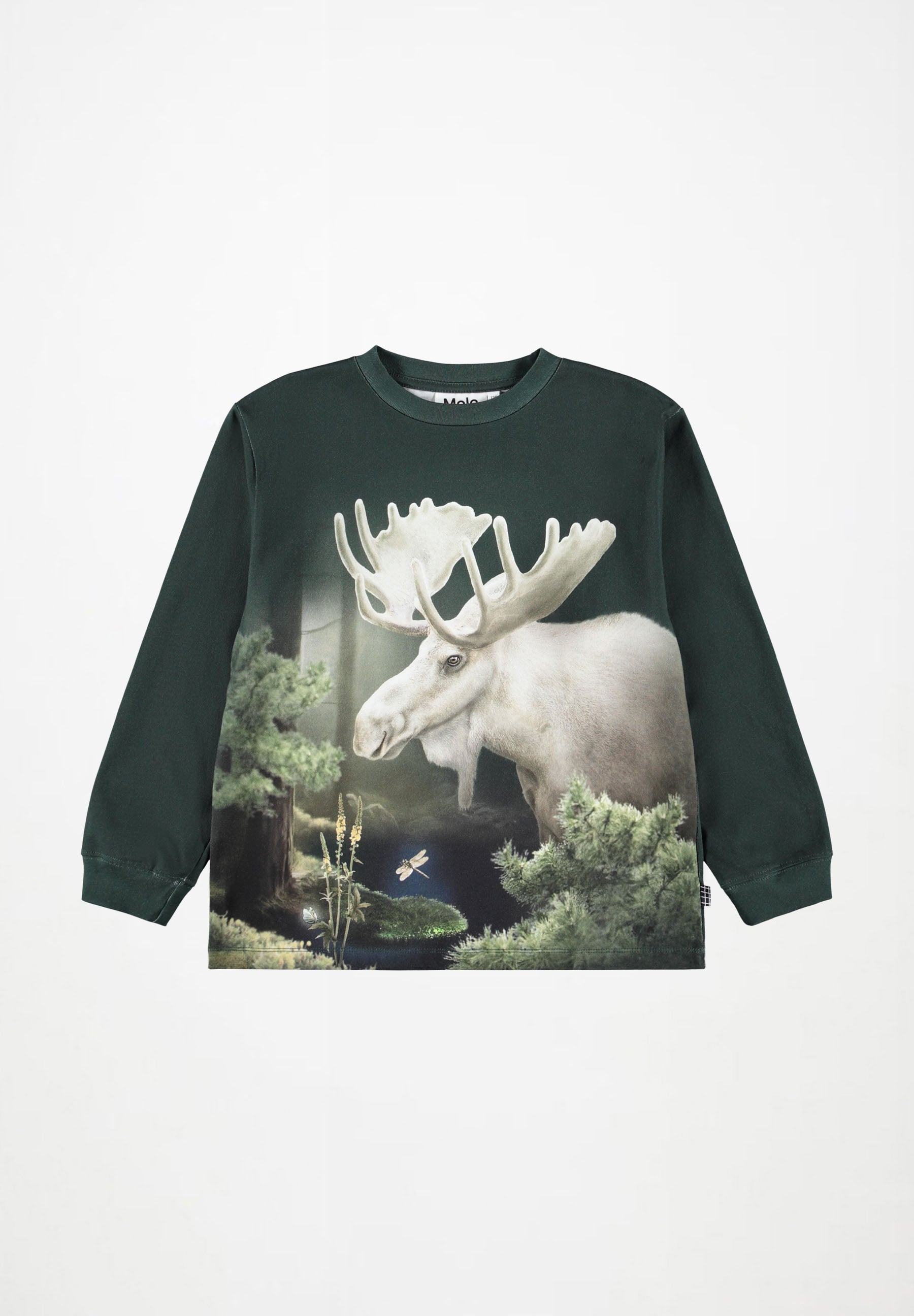 Rube Forest Moose