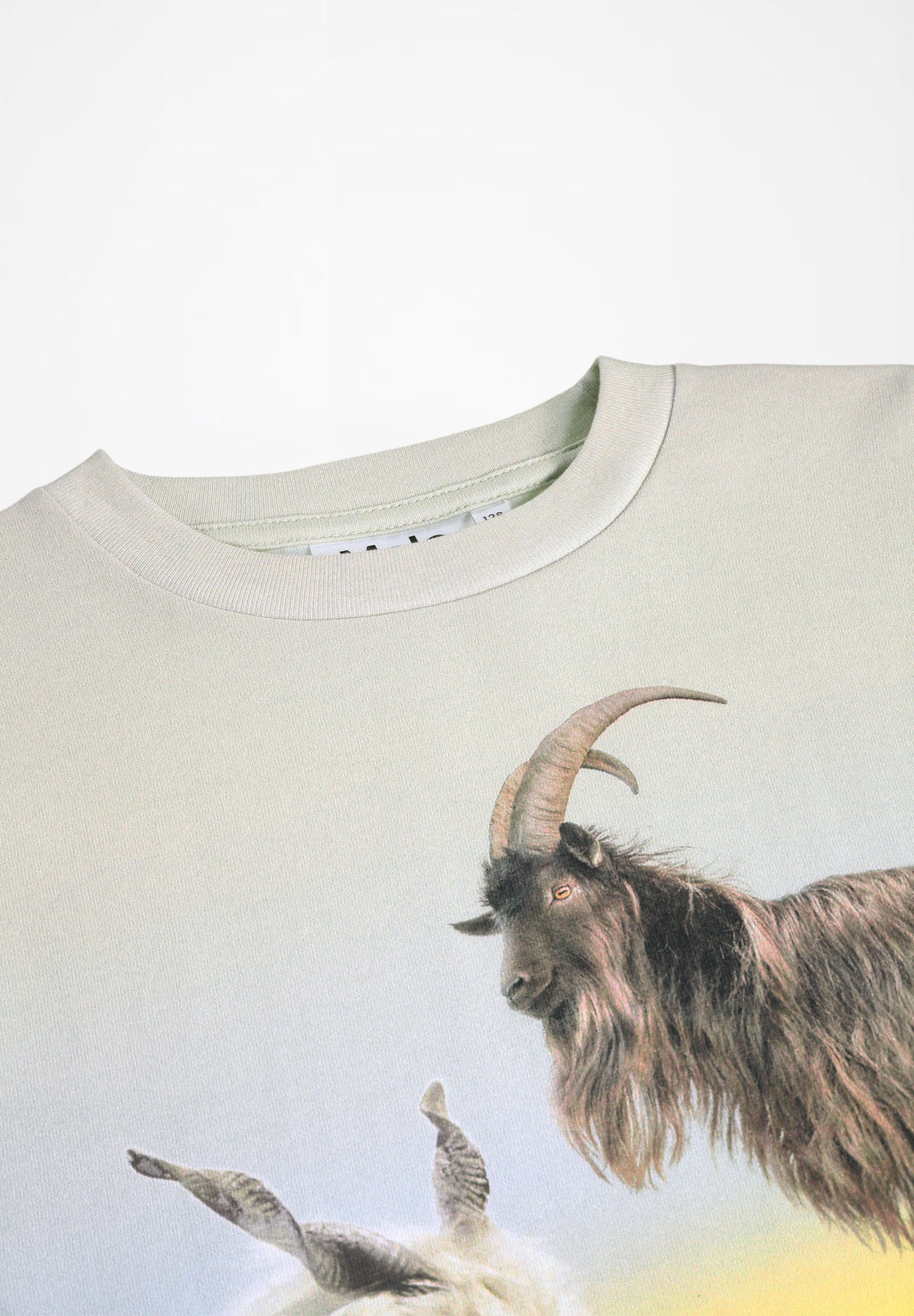 Rube Goats Peak
