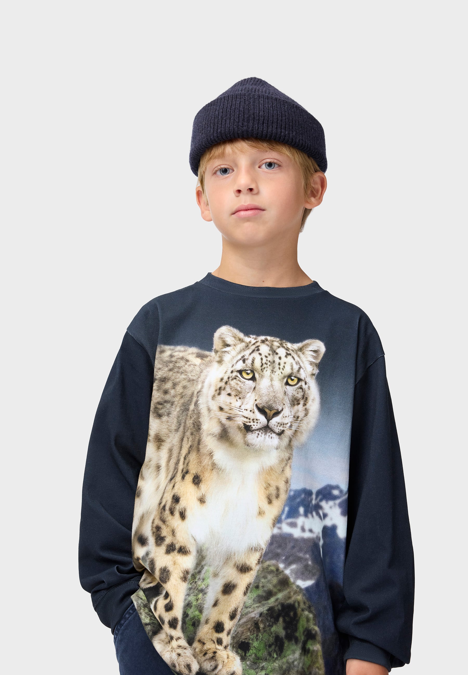 Rube Snow Leo
