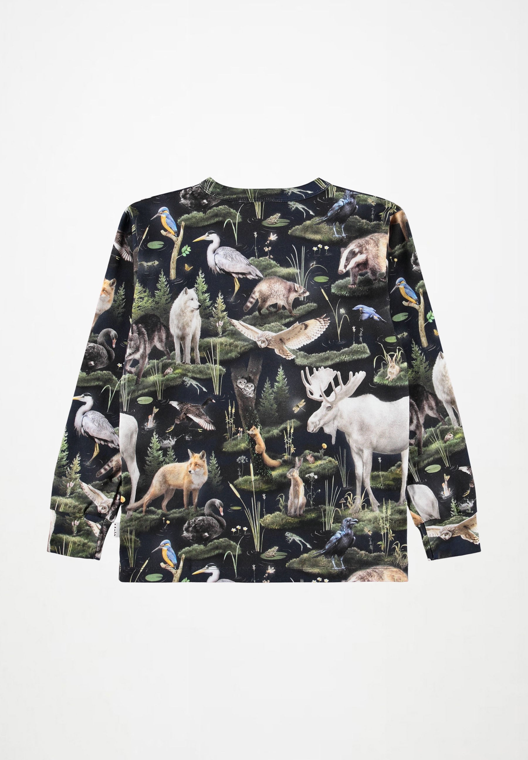 Rill Forest Fauna