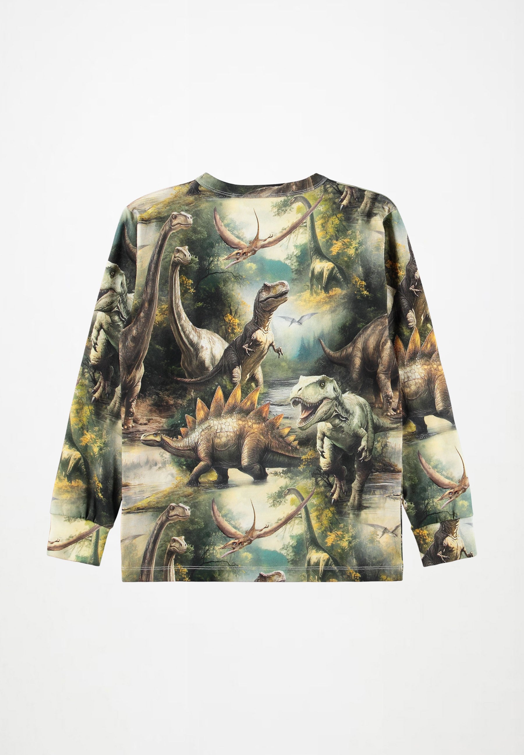 Rill Dino Harmony