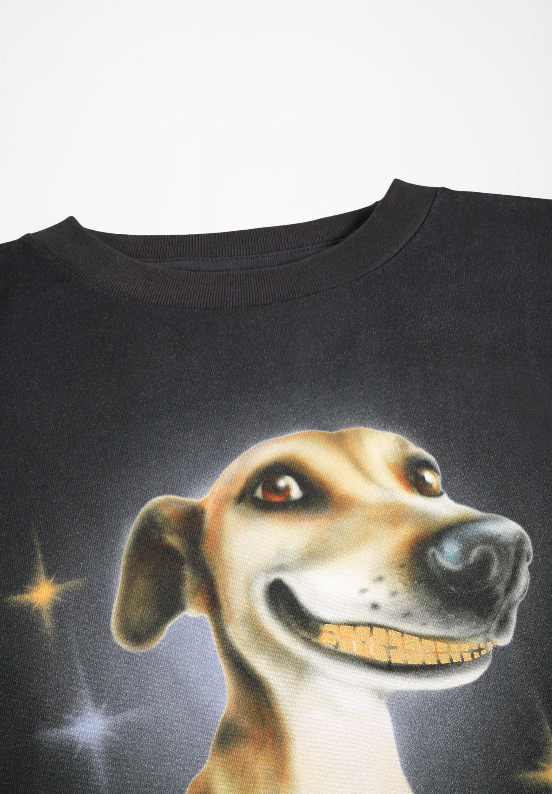 Rube Golden Grillz