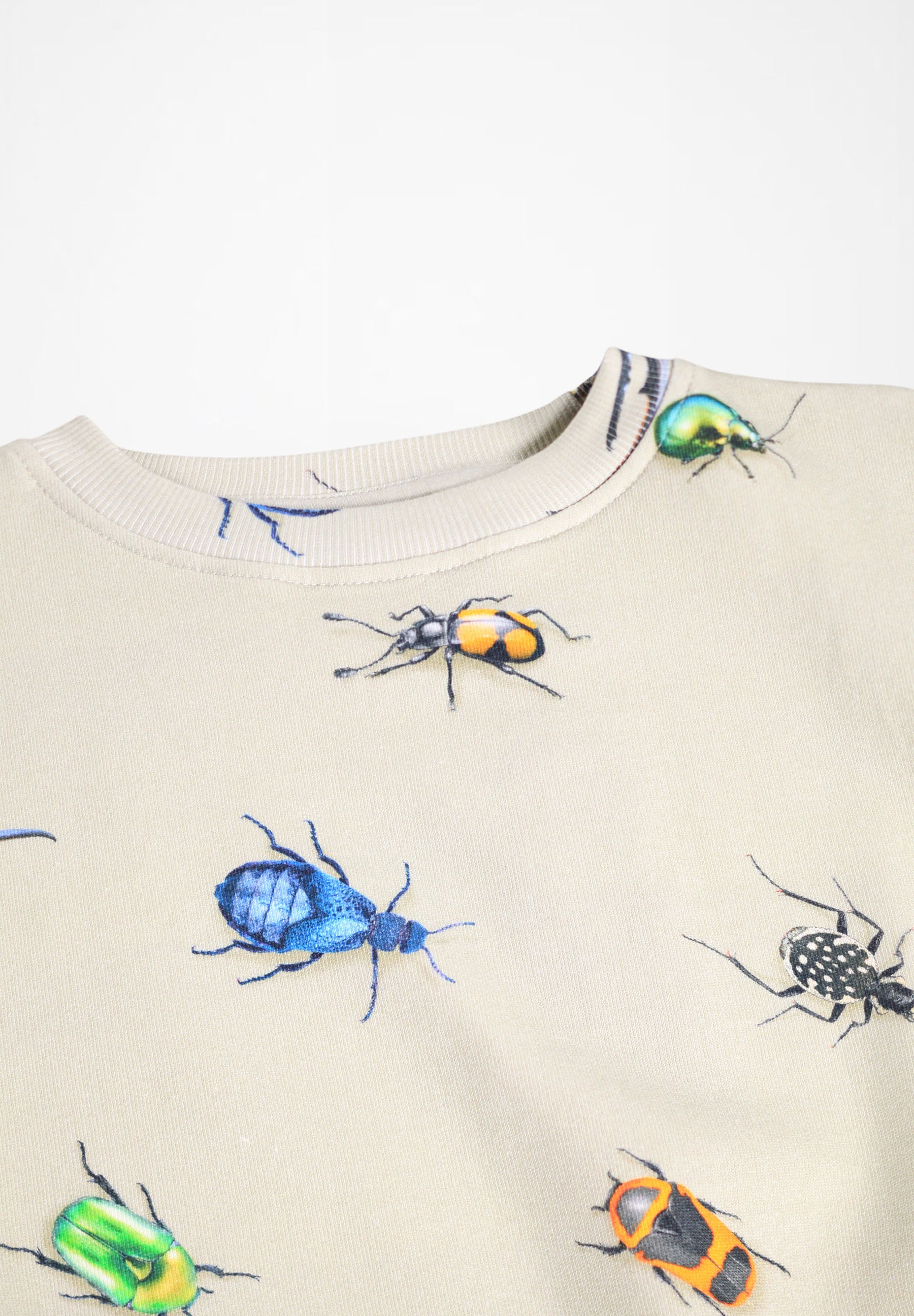 Mattis Beetles