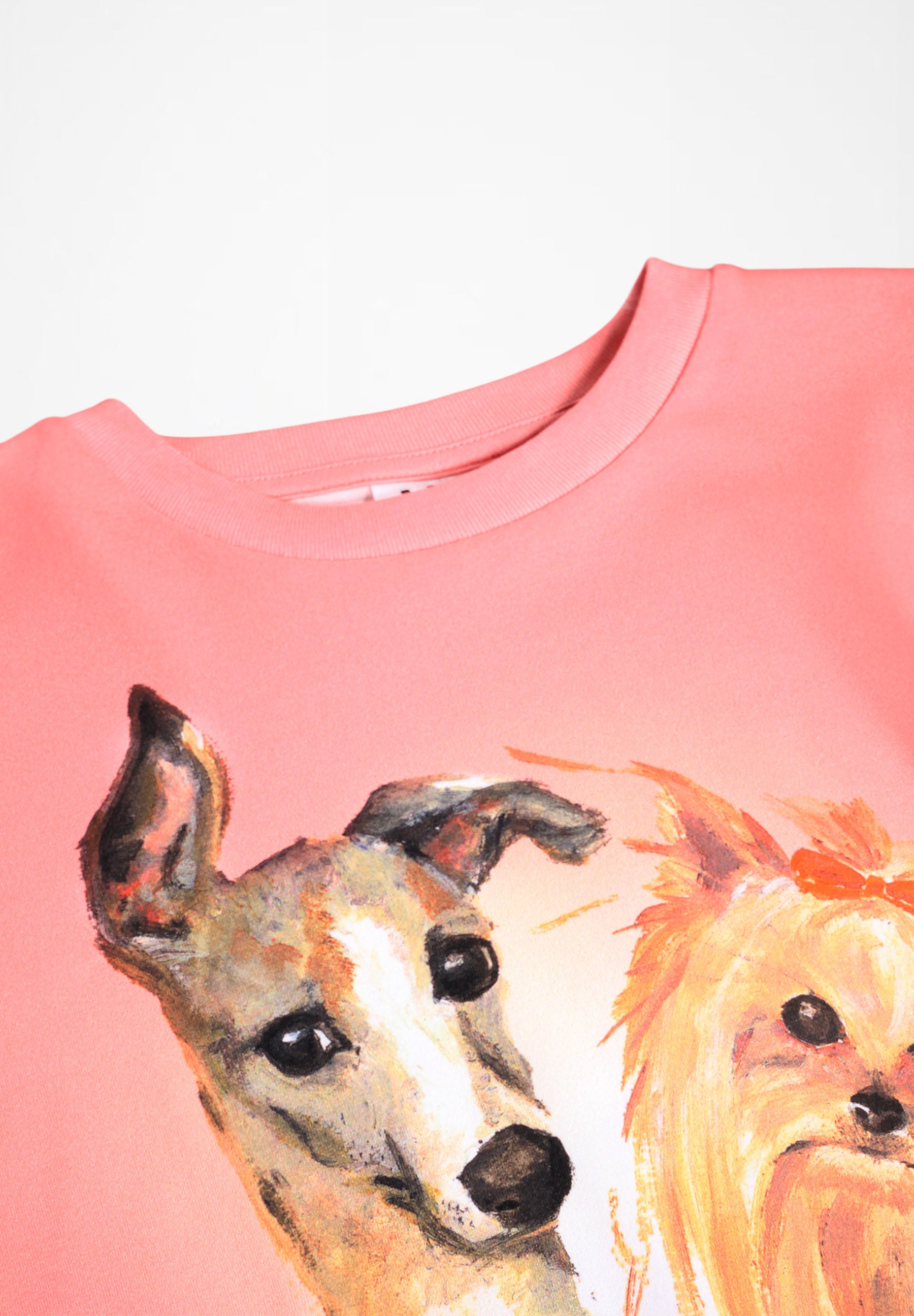 Reniza Charming Dogs