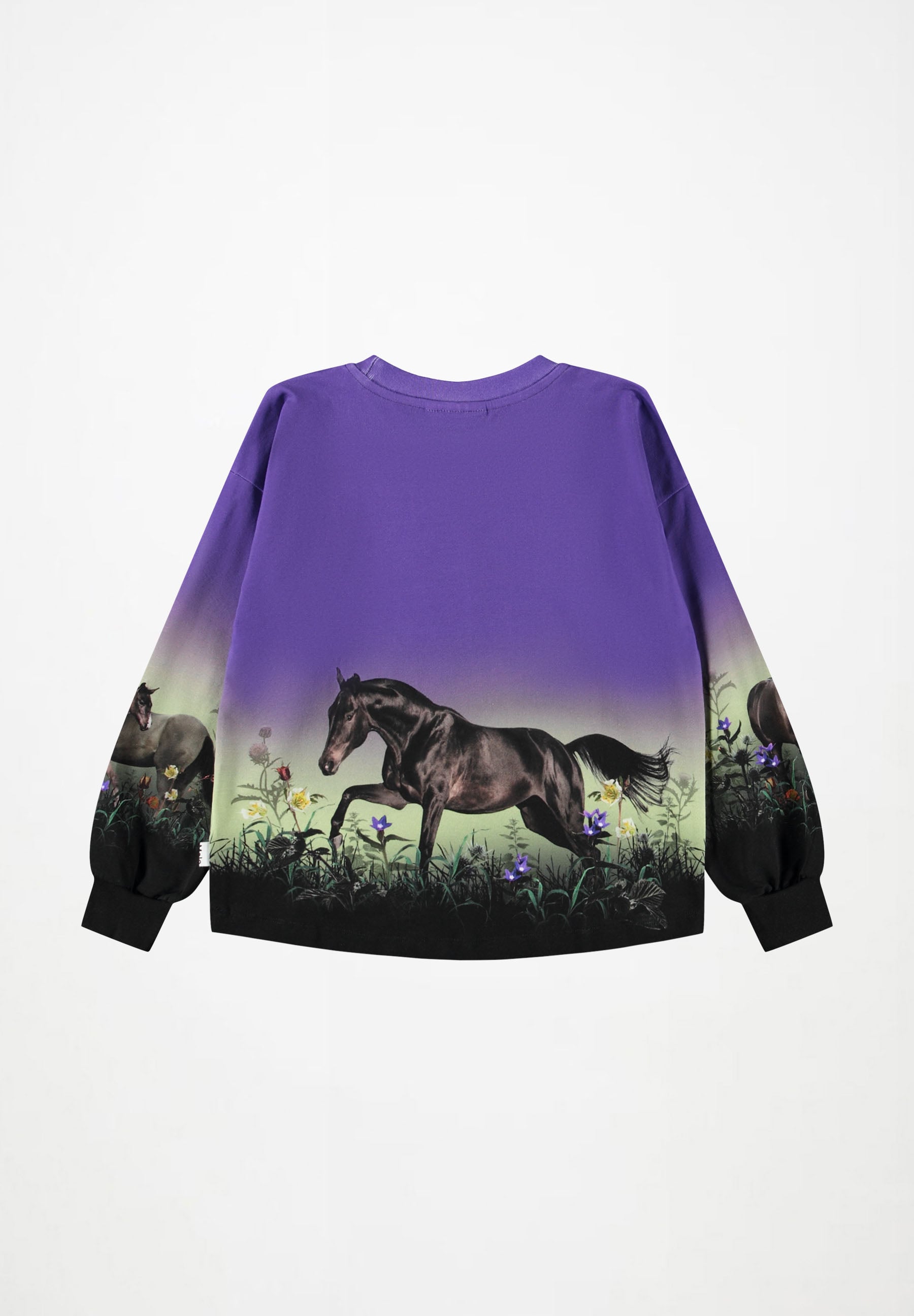 Reniza Mystic Horses