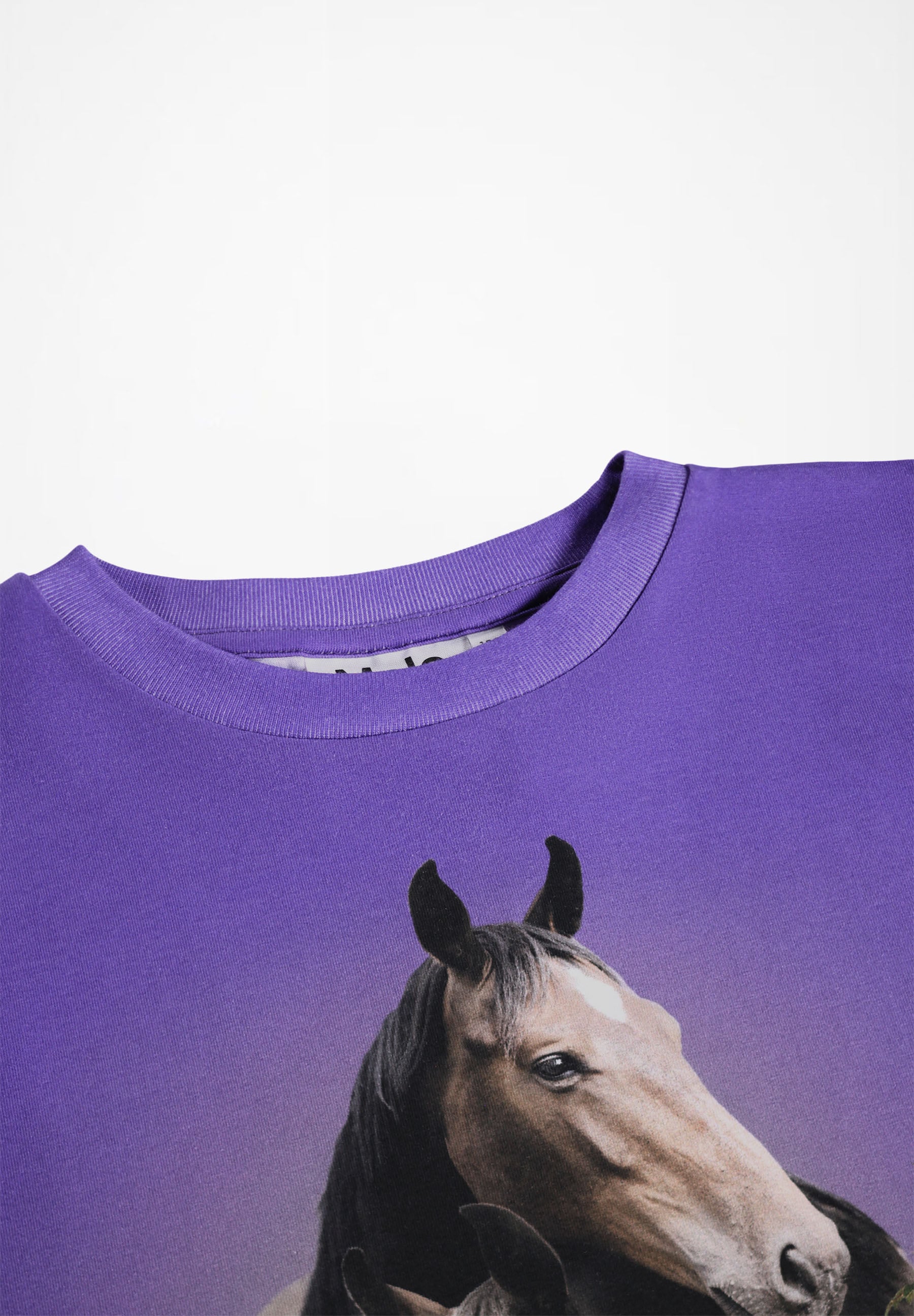Reniza Mystic Horses