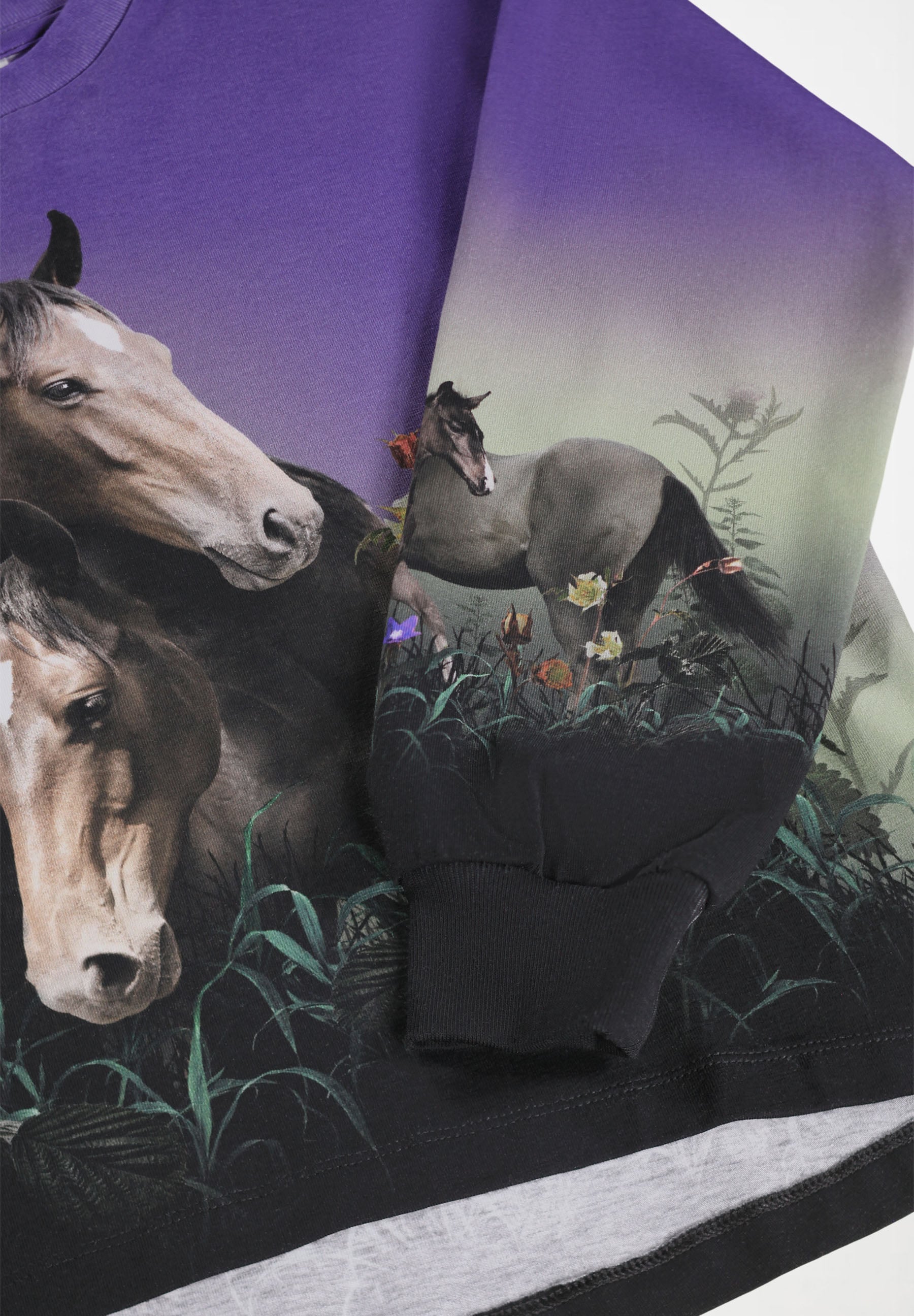 Reniza Mystic Horses