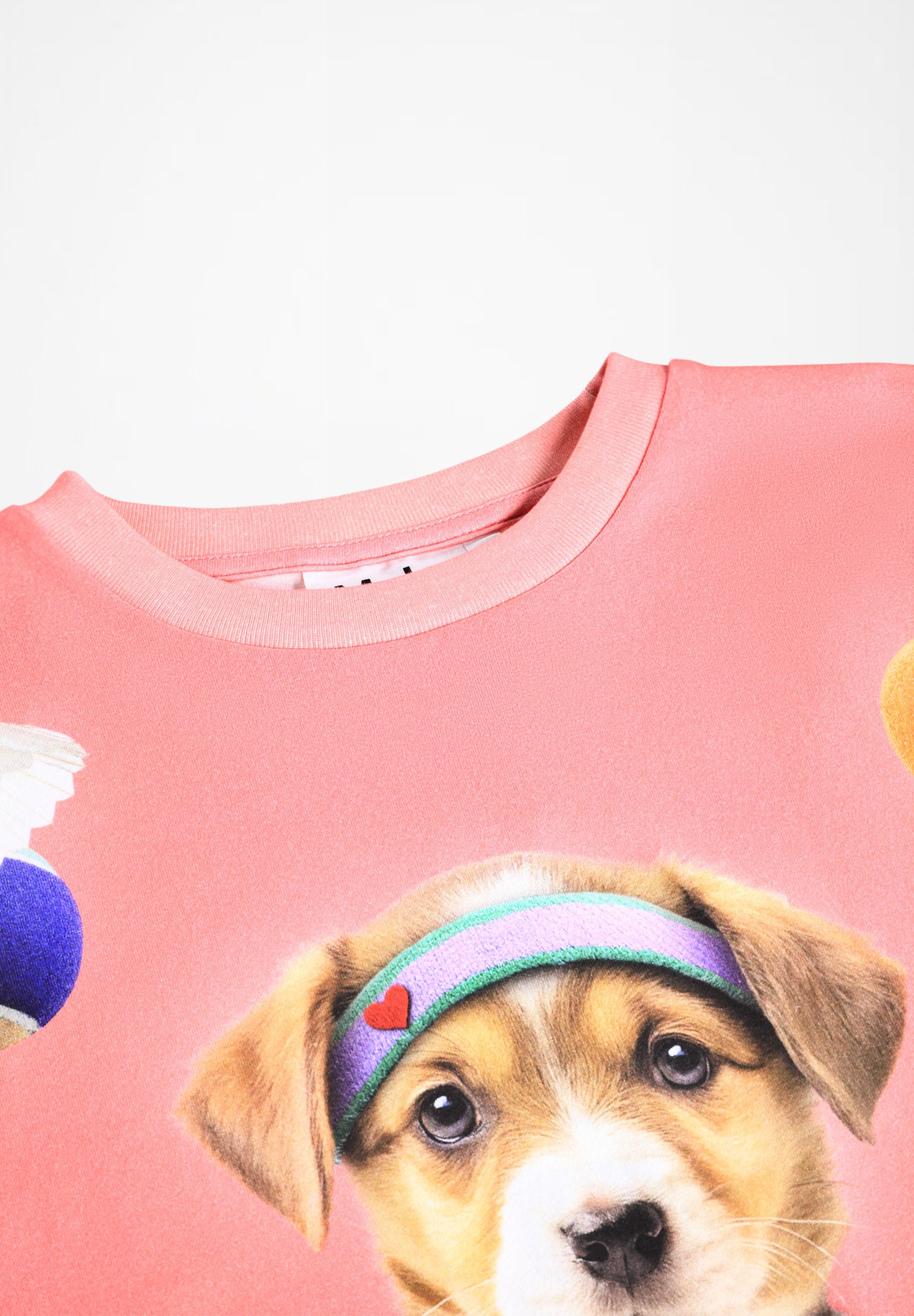 Reniza Game Pup