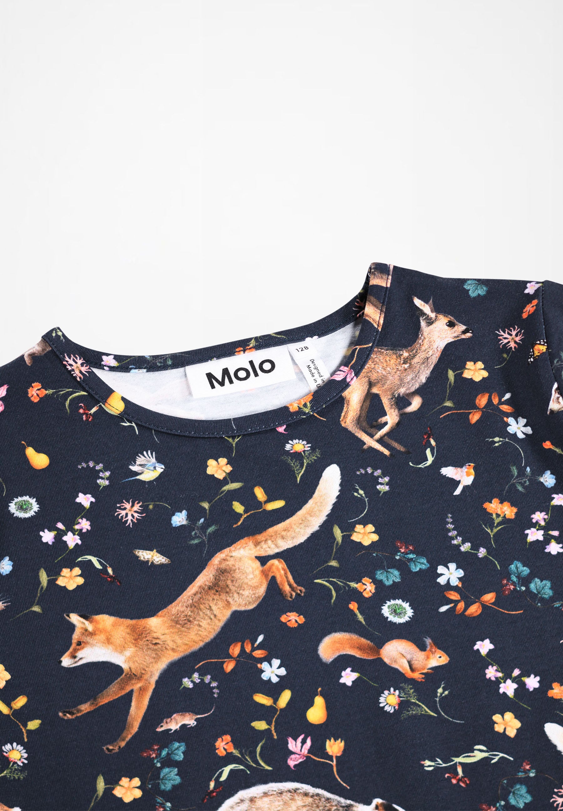 Rose Windy Forest
