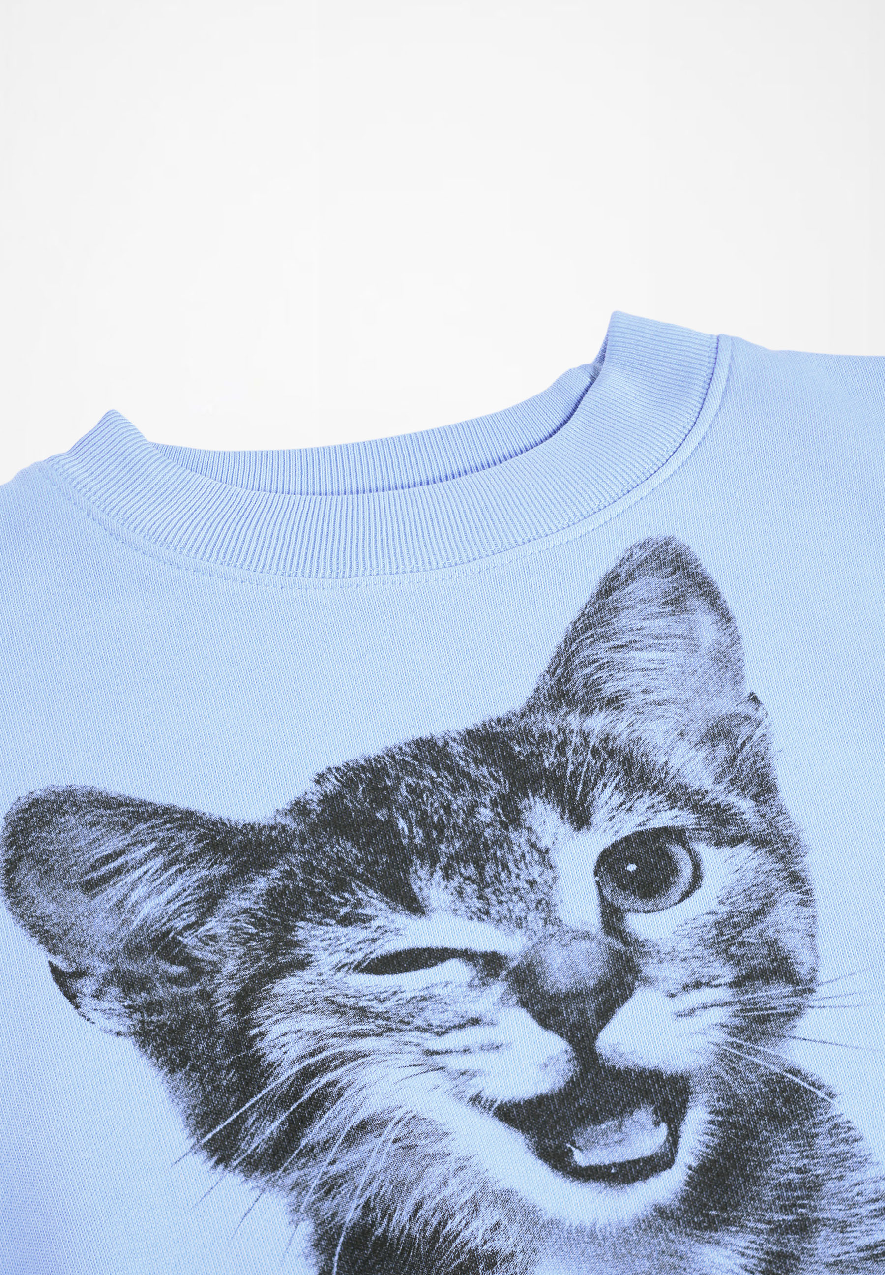 Marge Blue Kitten