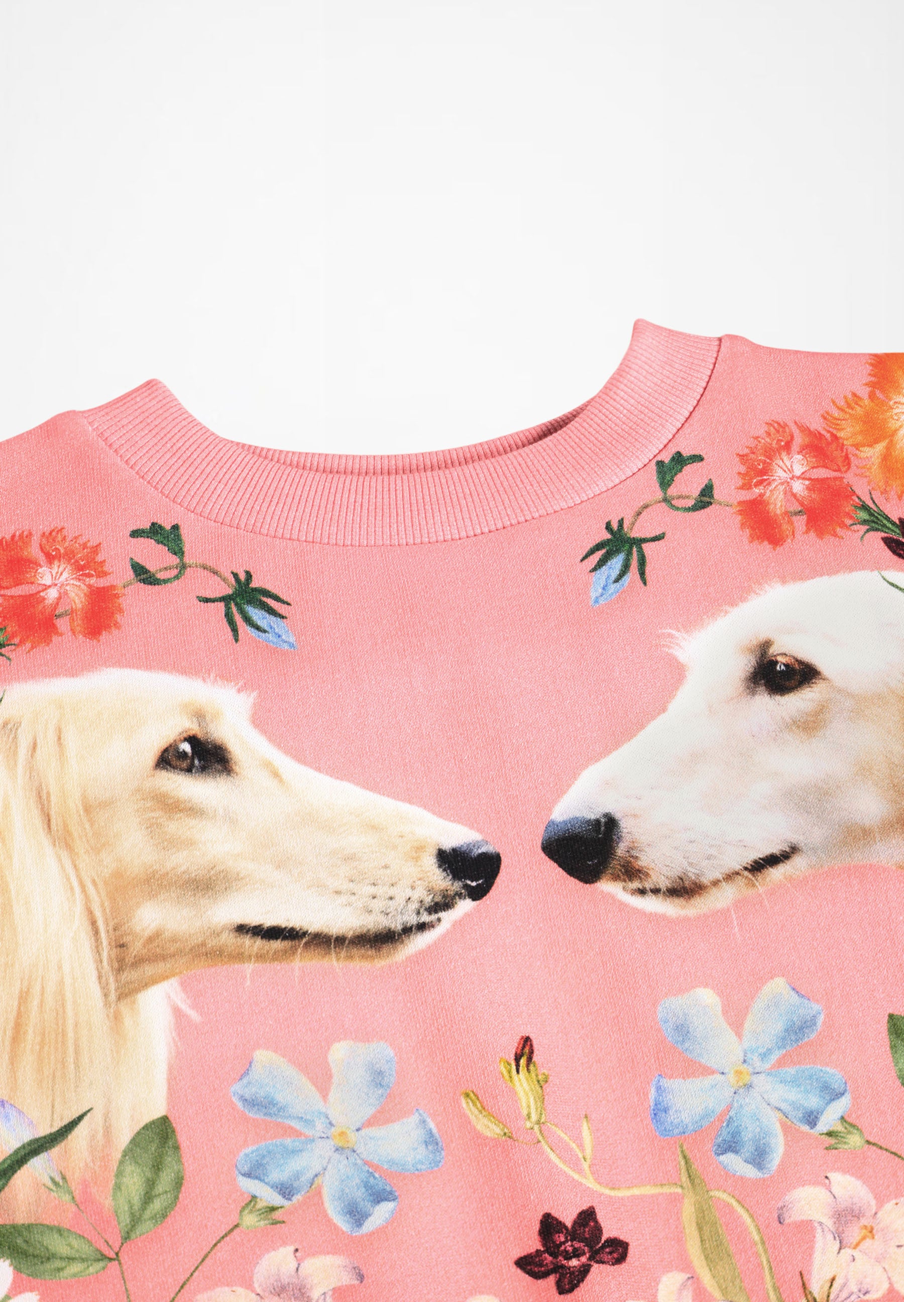 Maxi Afghan Hounds