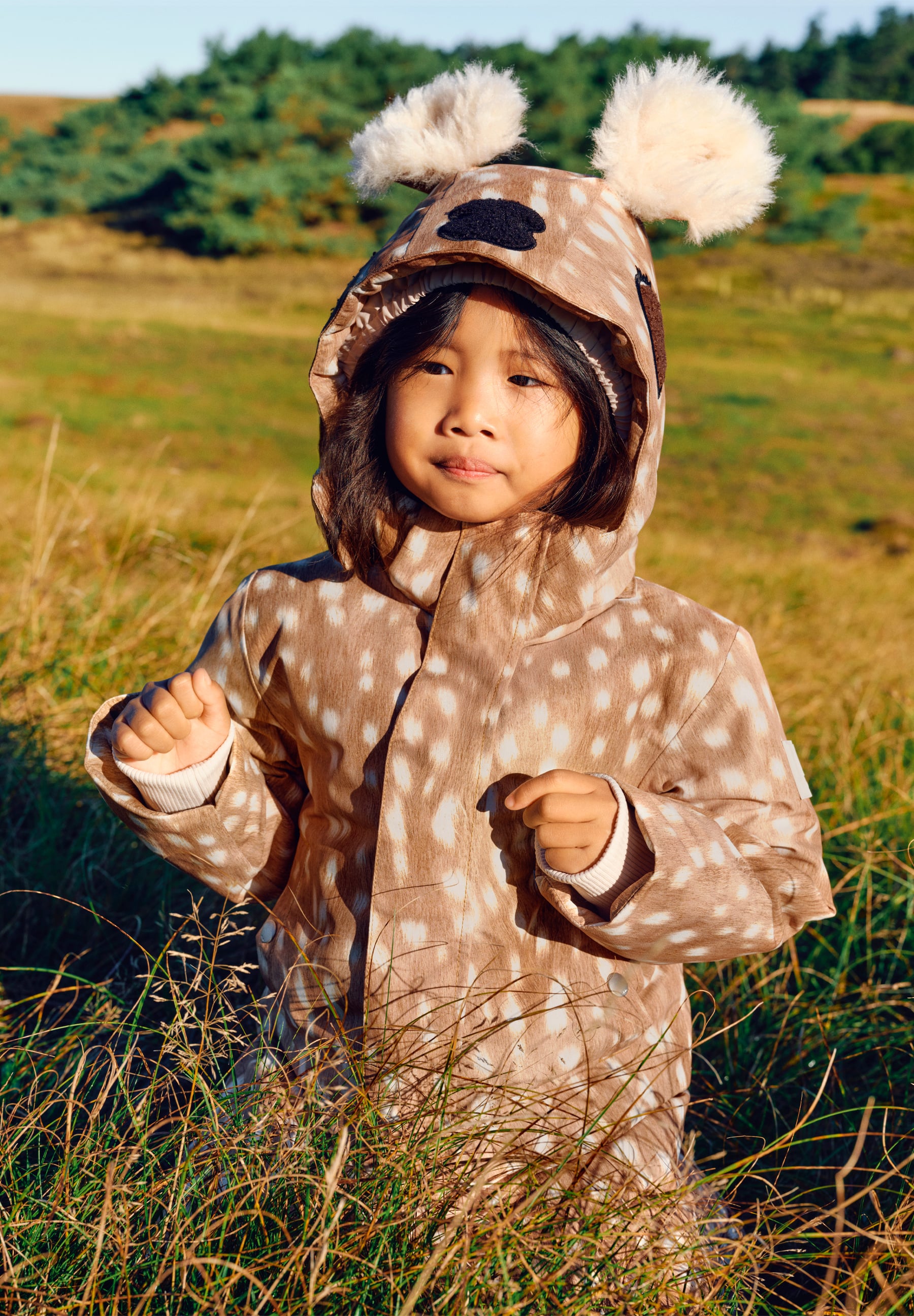 Pax Fawn Deer