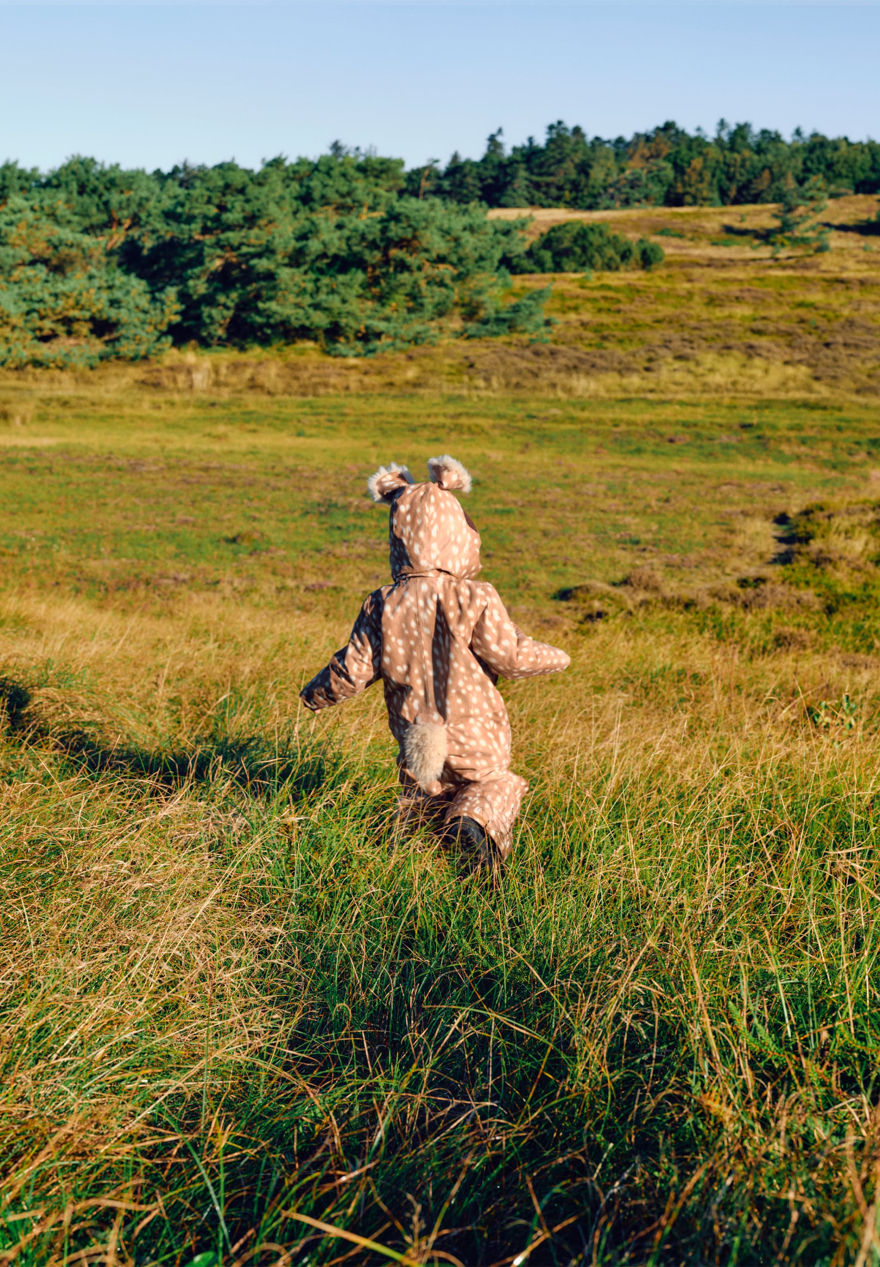 Pax Fawn Deer