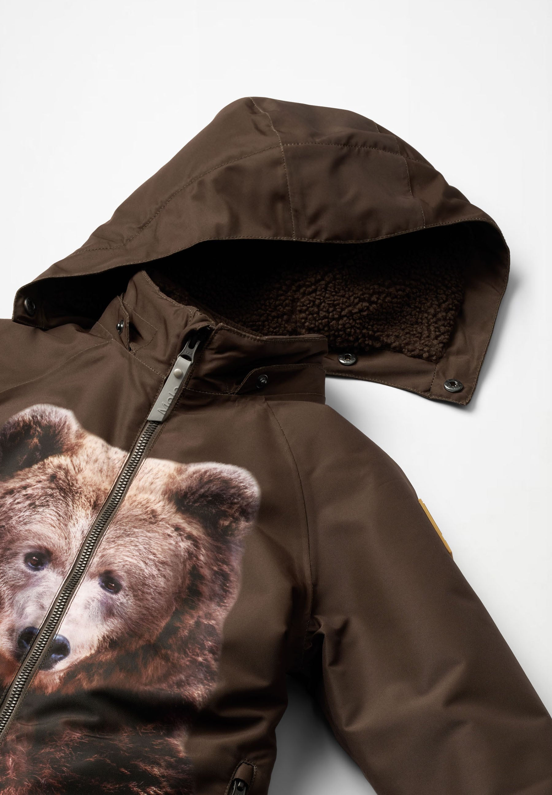 Polar Bear Brown