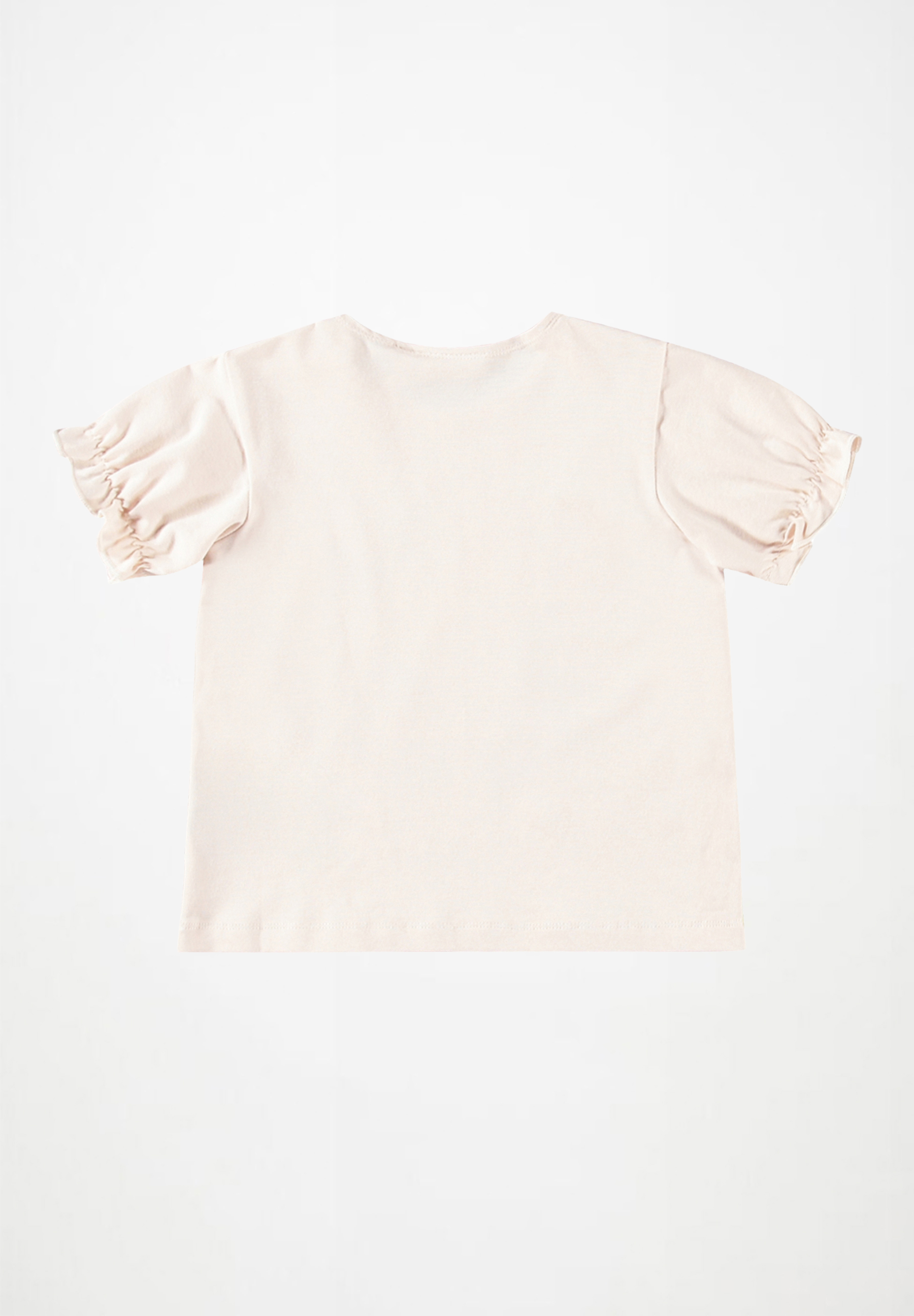 Eline Papillon Puppy