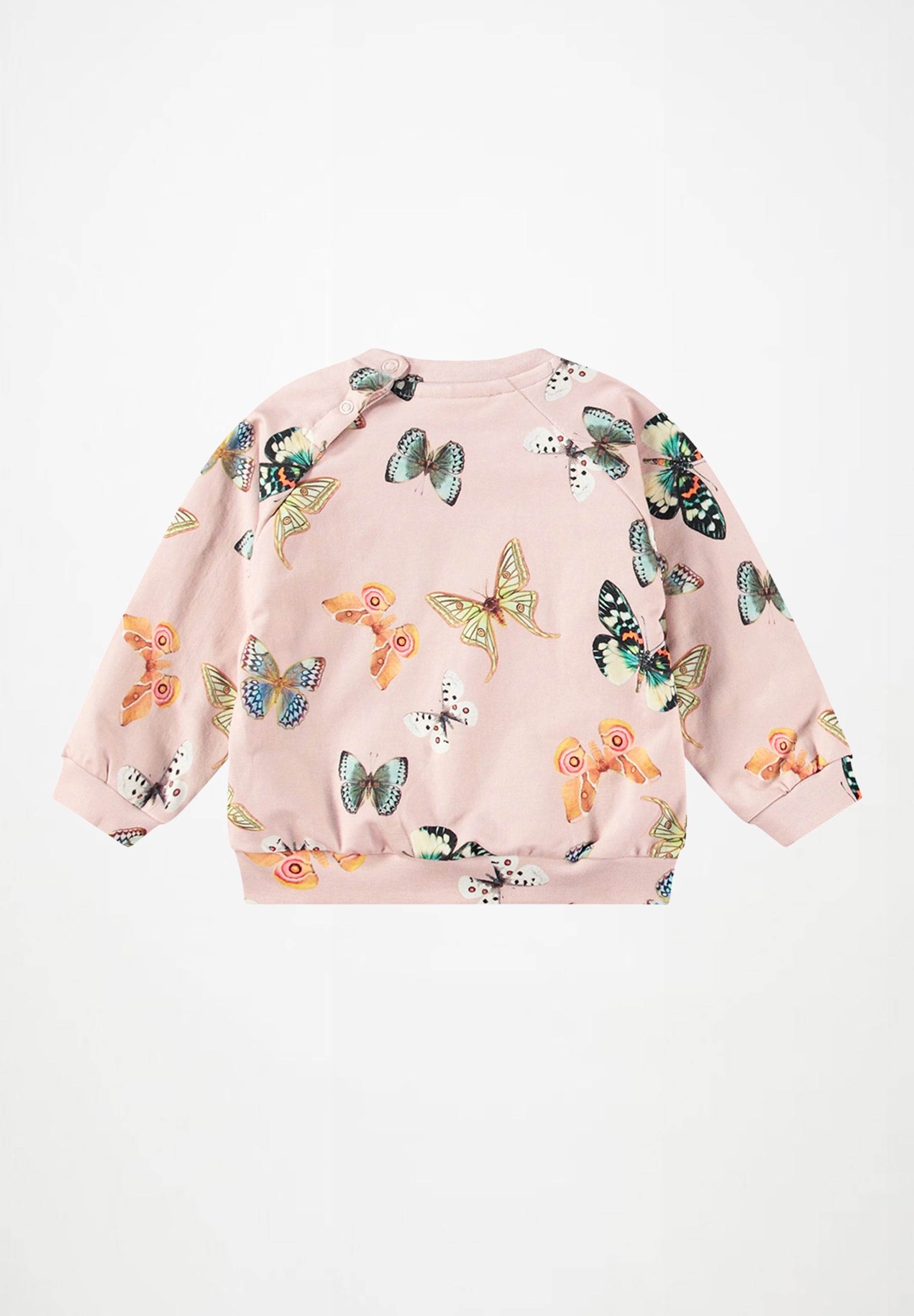 Disc Blush Papillions