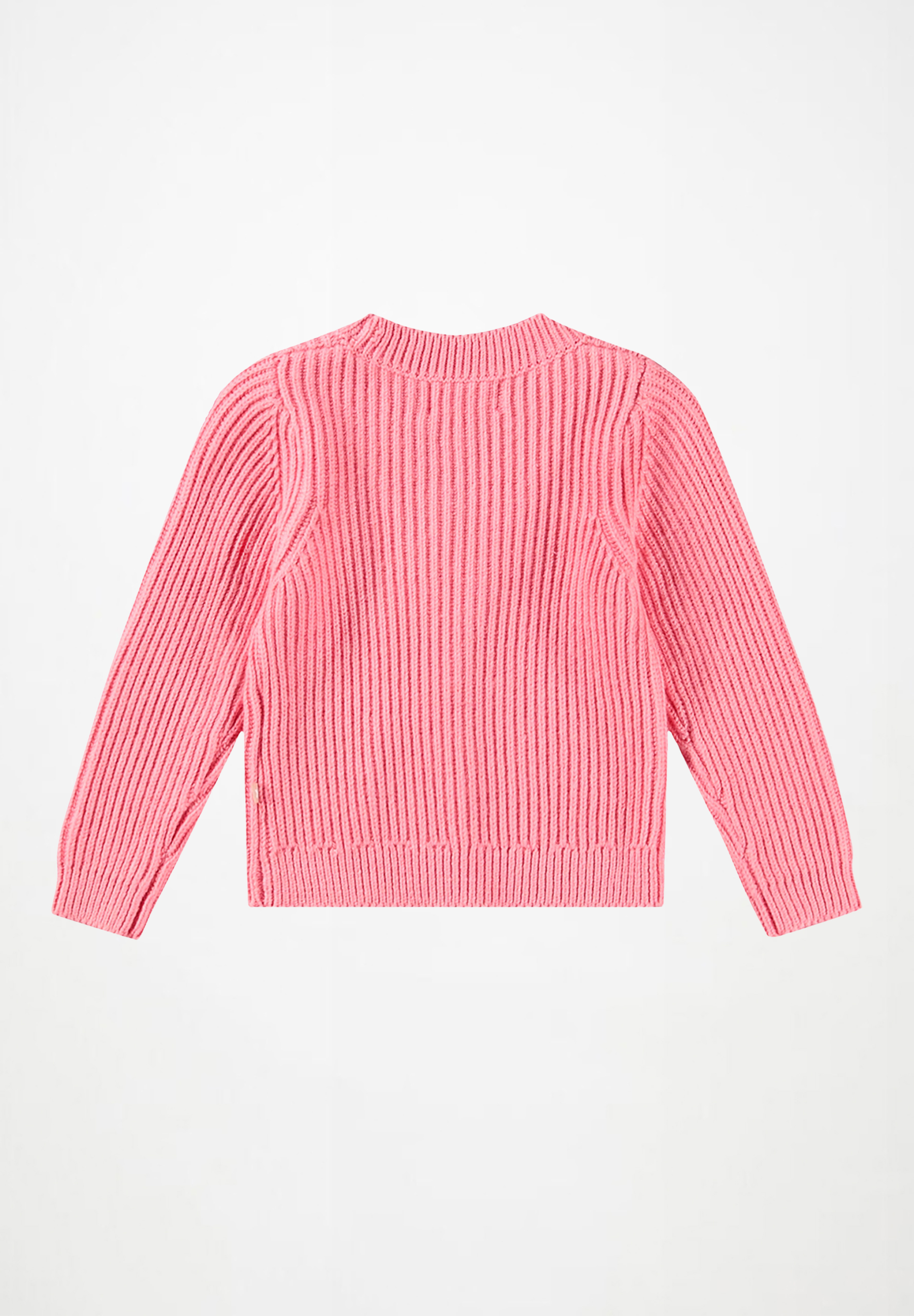 Gisella Flamingo Plume