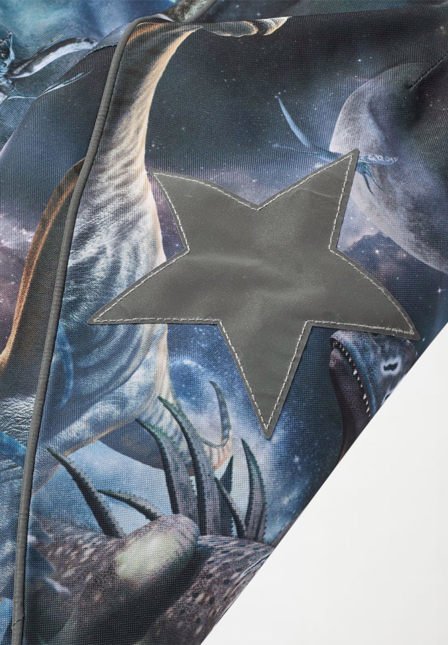 Hopla Dino in Space