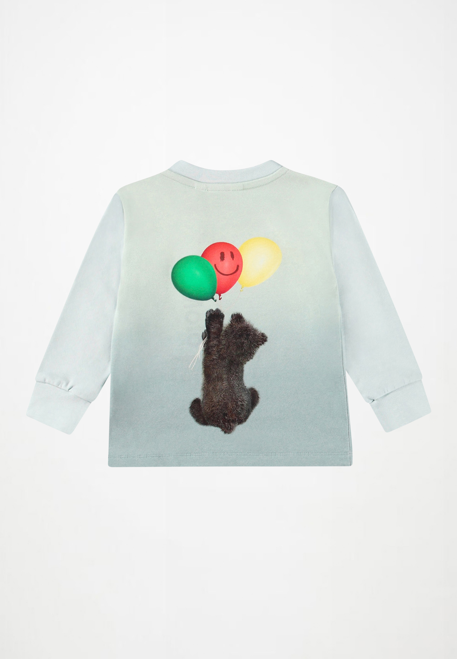 Eloy Balloon Bear