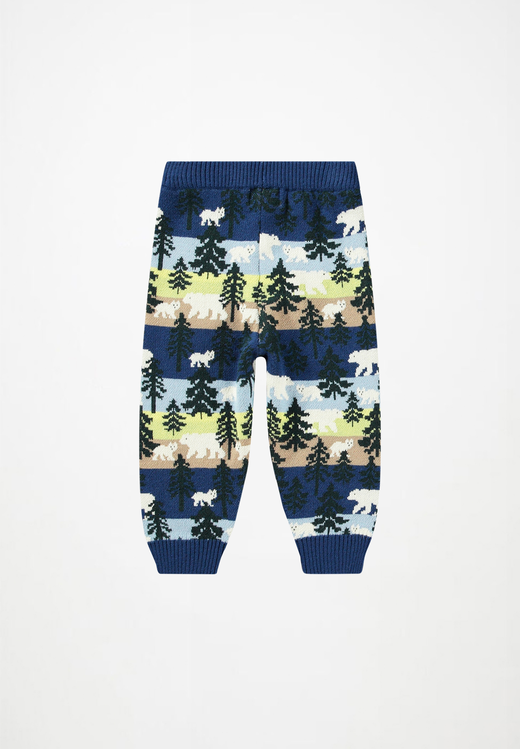 Sol Forest Bears