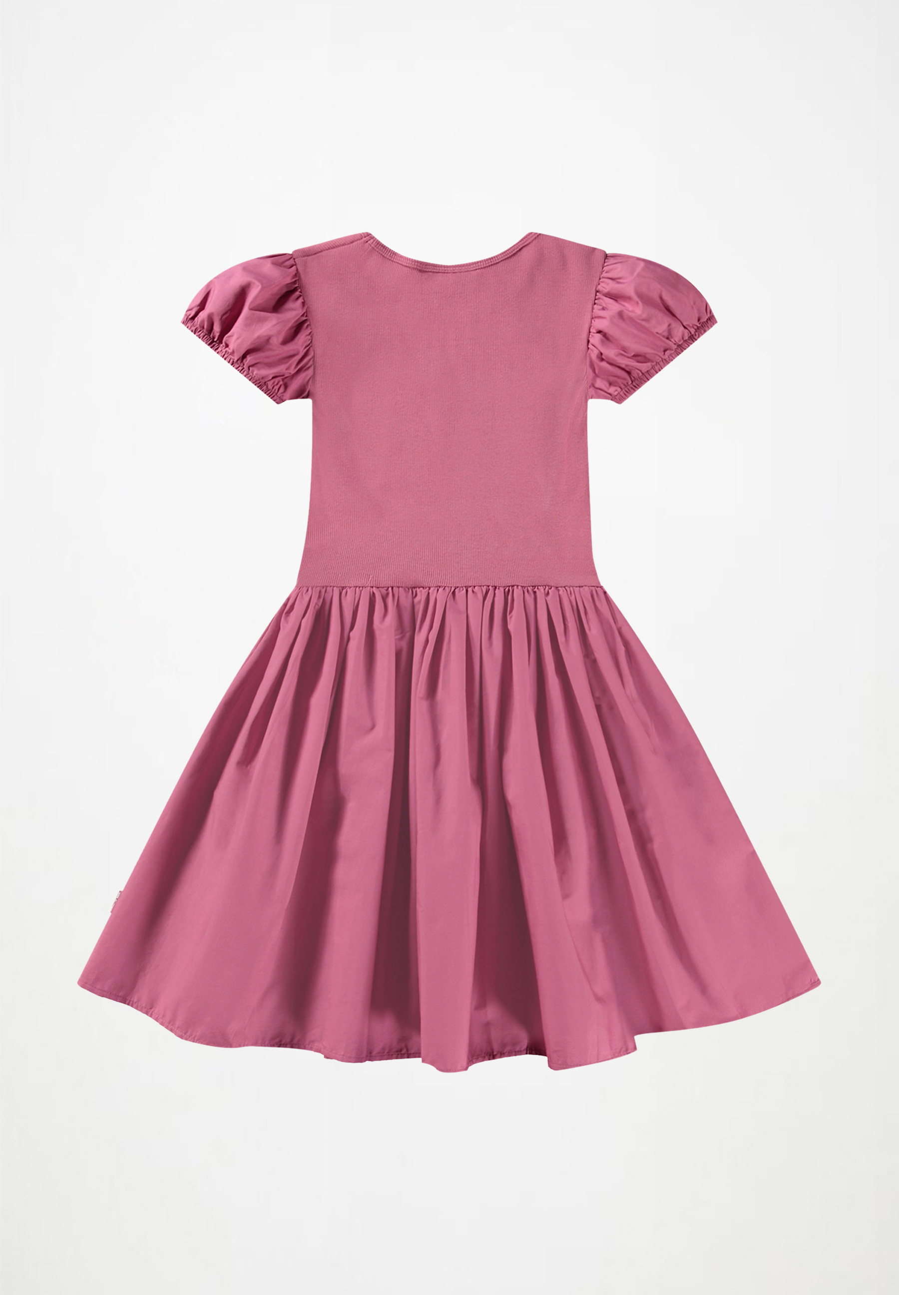 Cleopatra Dark Rose