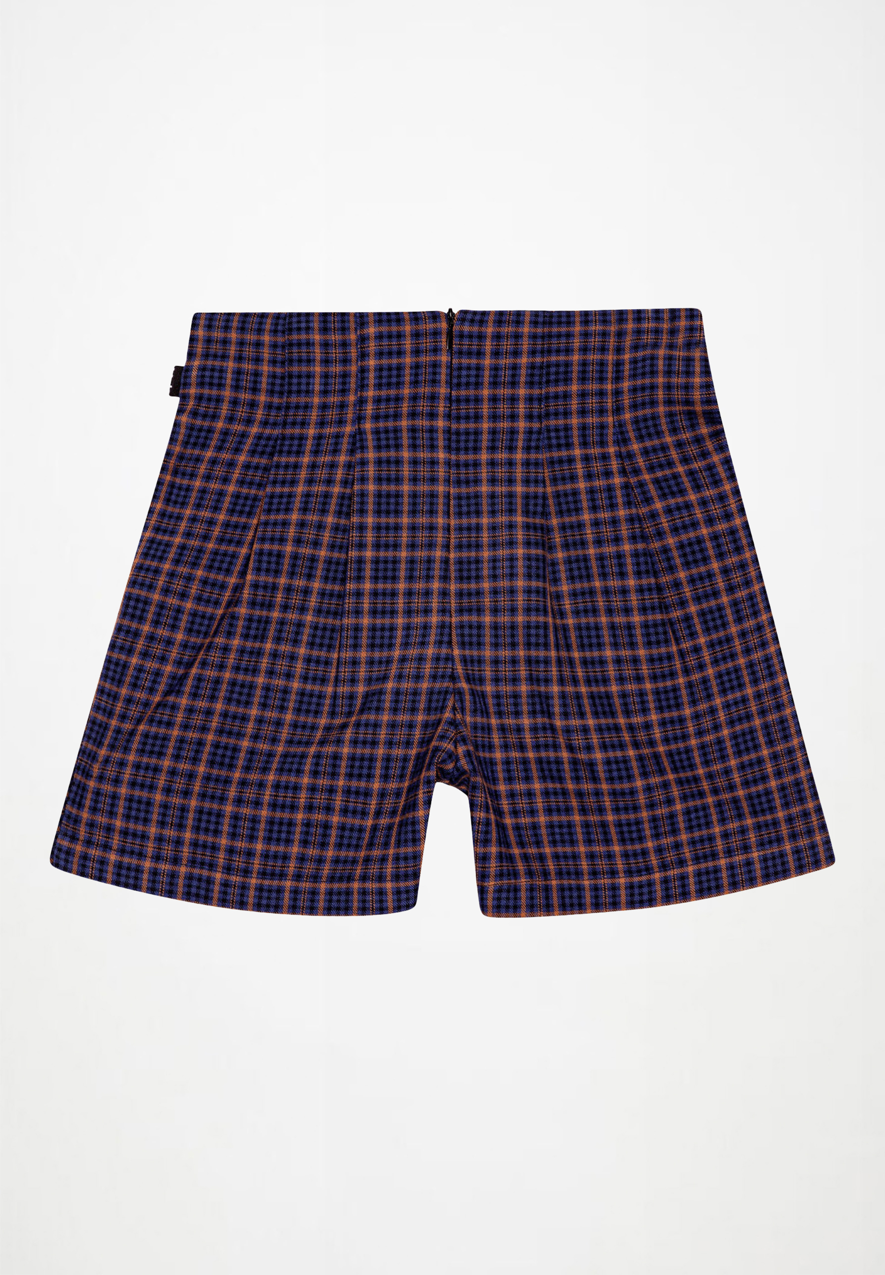 Alysie BlueBrown Check