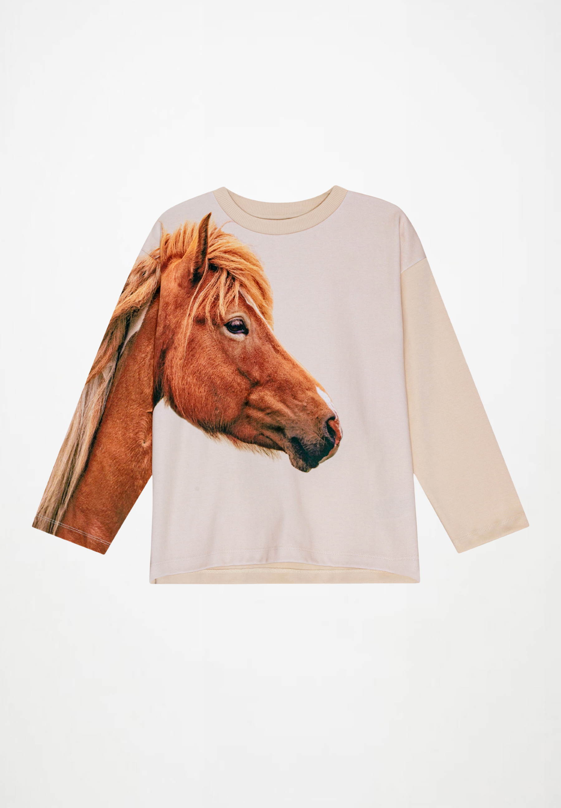 Mountoo Sweatshirt