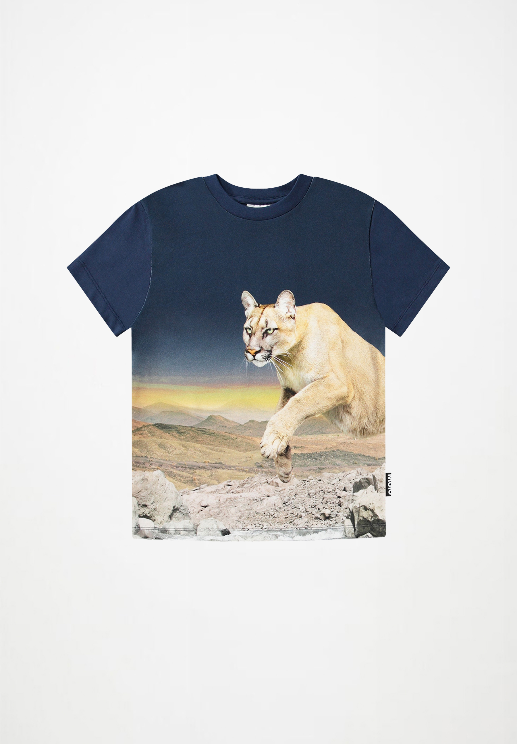 Roxo Puma Blue