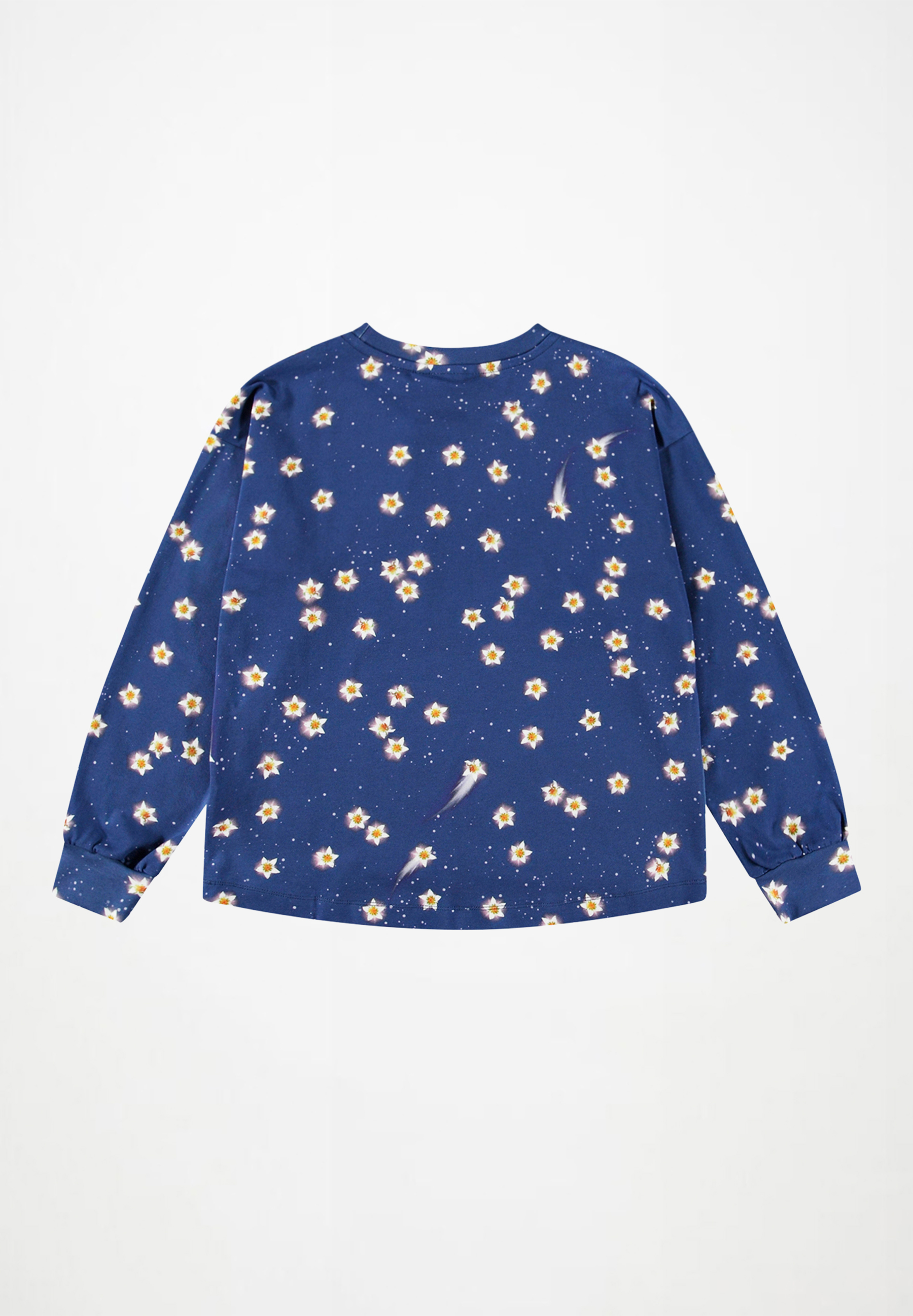 Reniza Shooting Stars