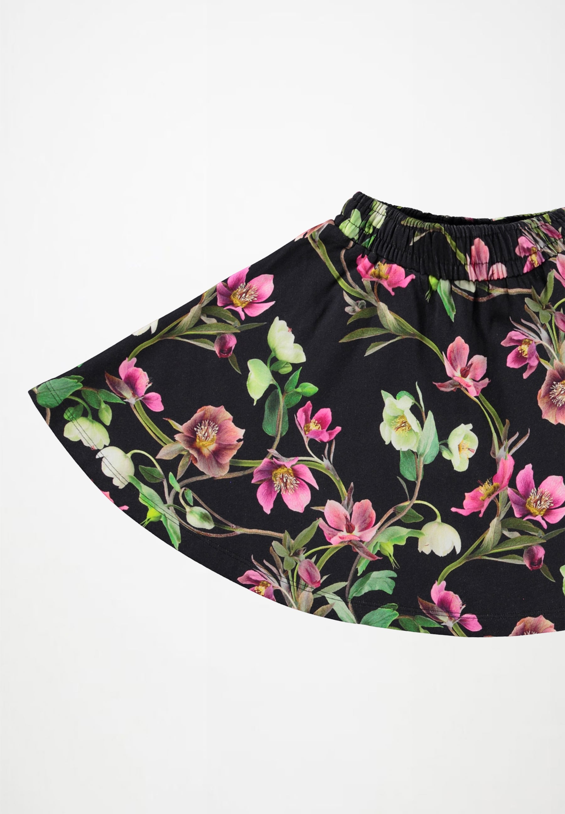 Barbera Hellebore Black