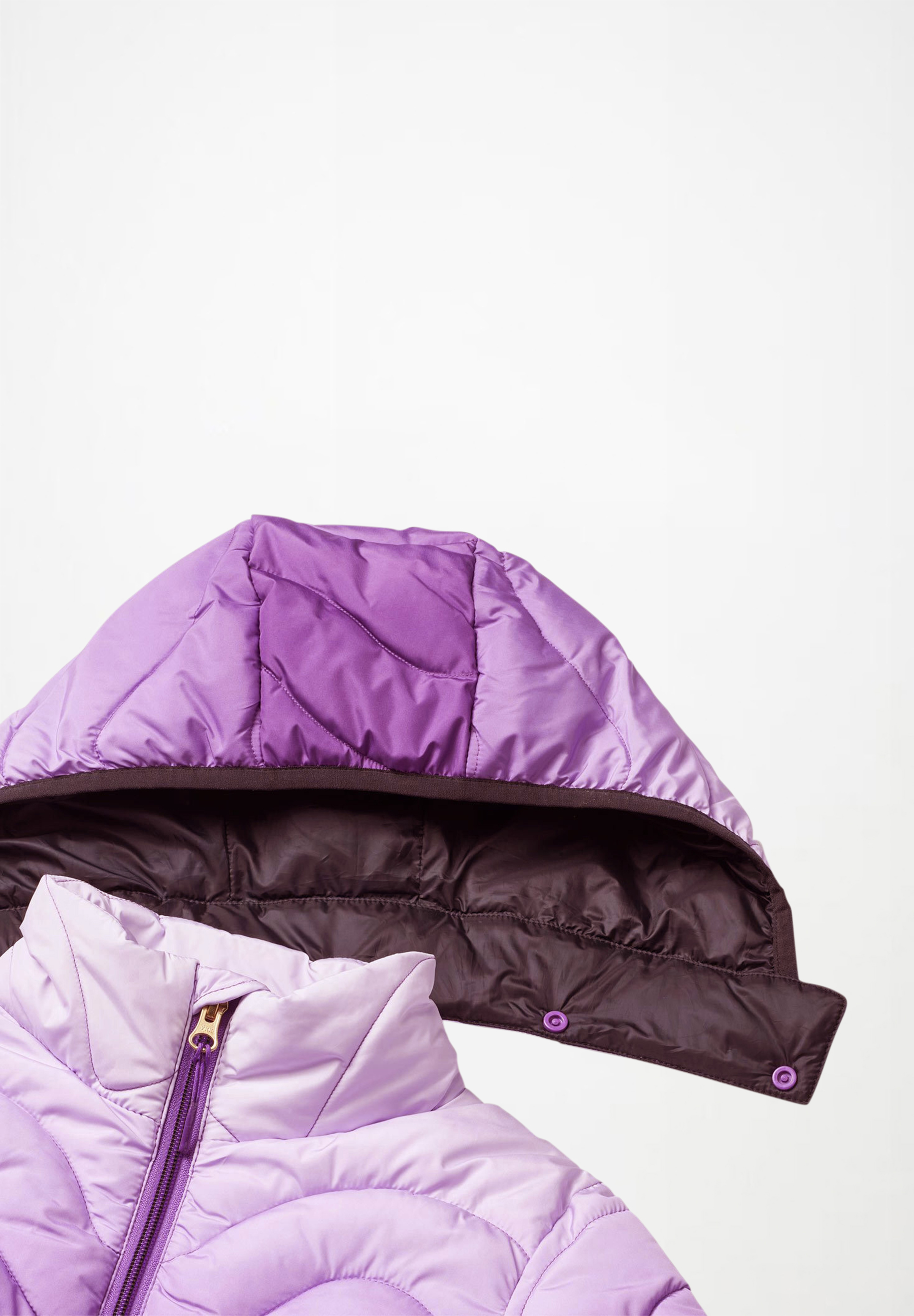 Hao Warm Purple