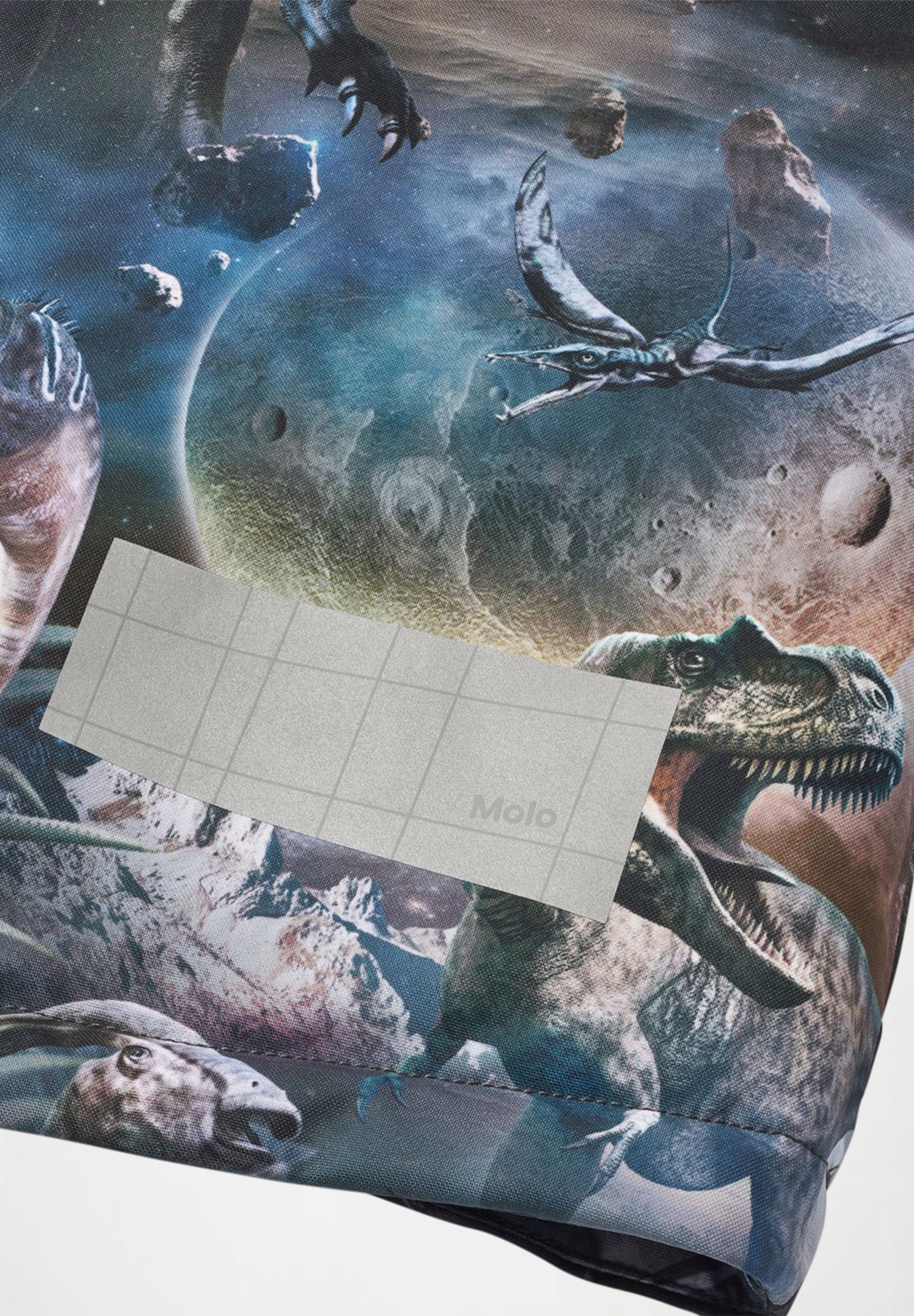 Castor Dino in Space