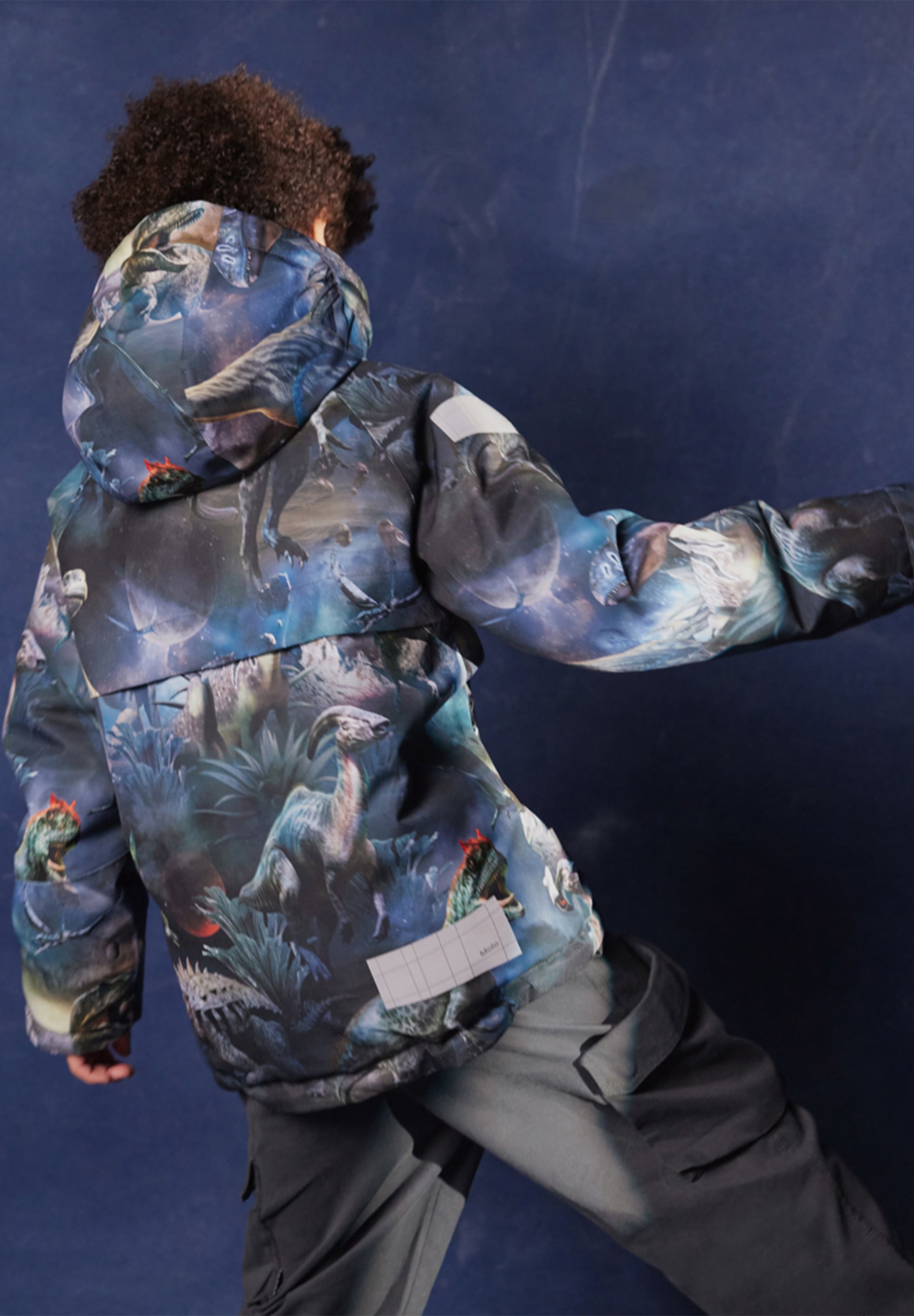 Castor Dino in Space