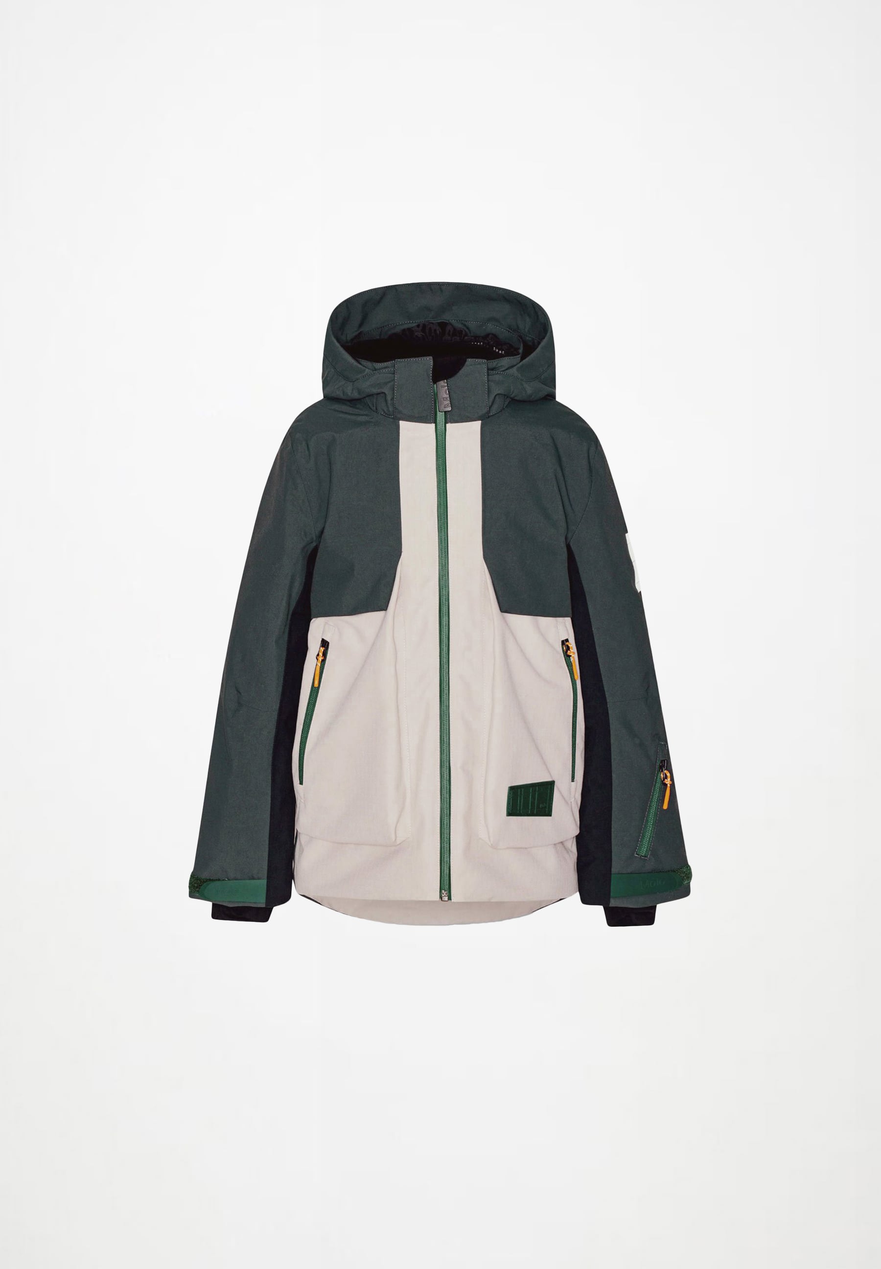Alpine Ski jacket