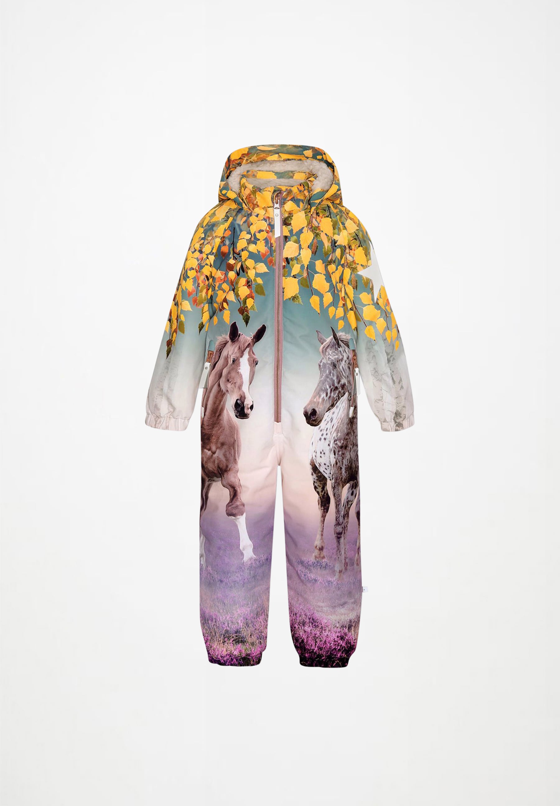 Polar Snowsuit