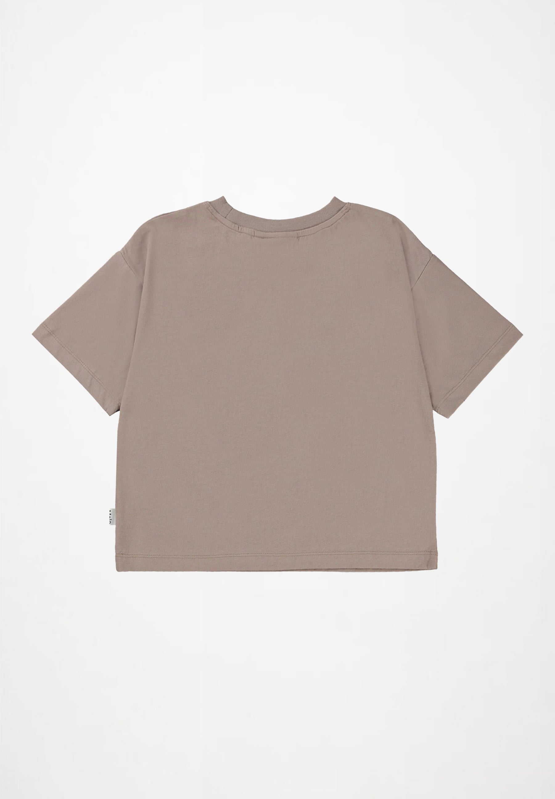 Reinette Moth Grey